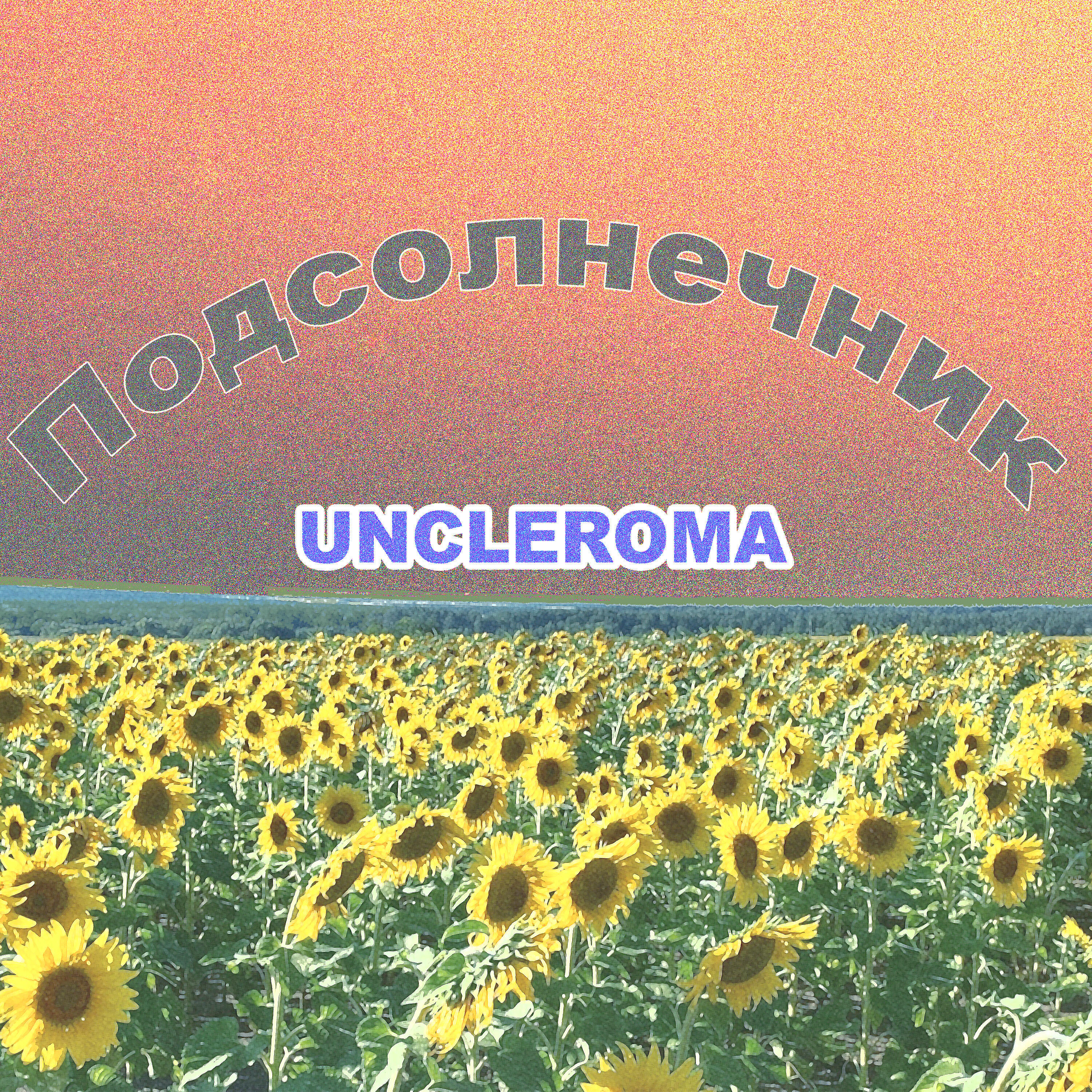 Постер альбома Подсолнечник