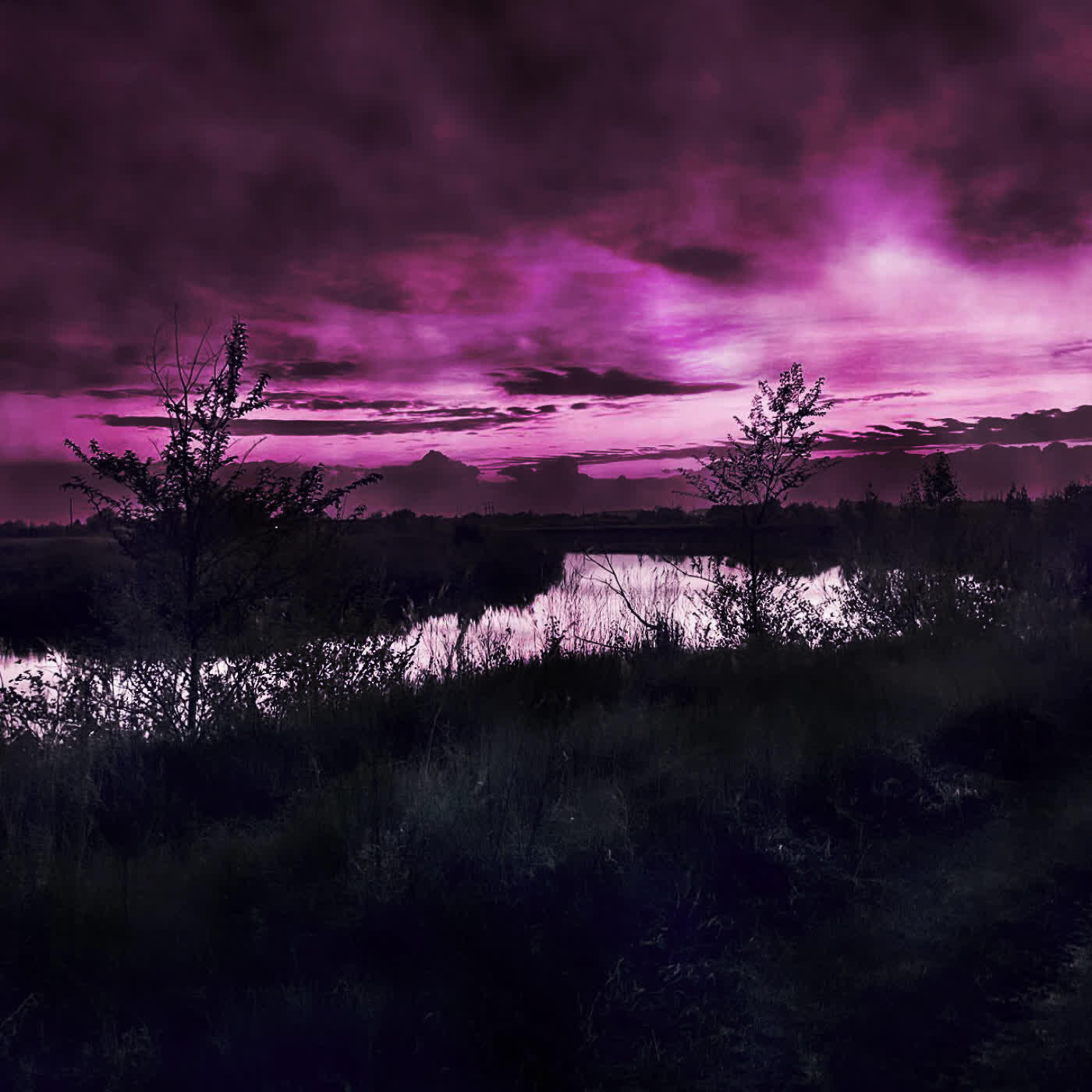 Релиз semblance