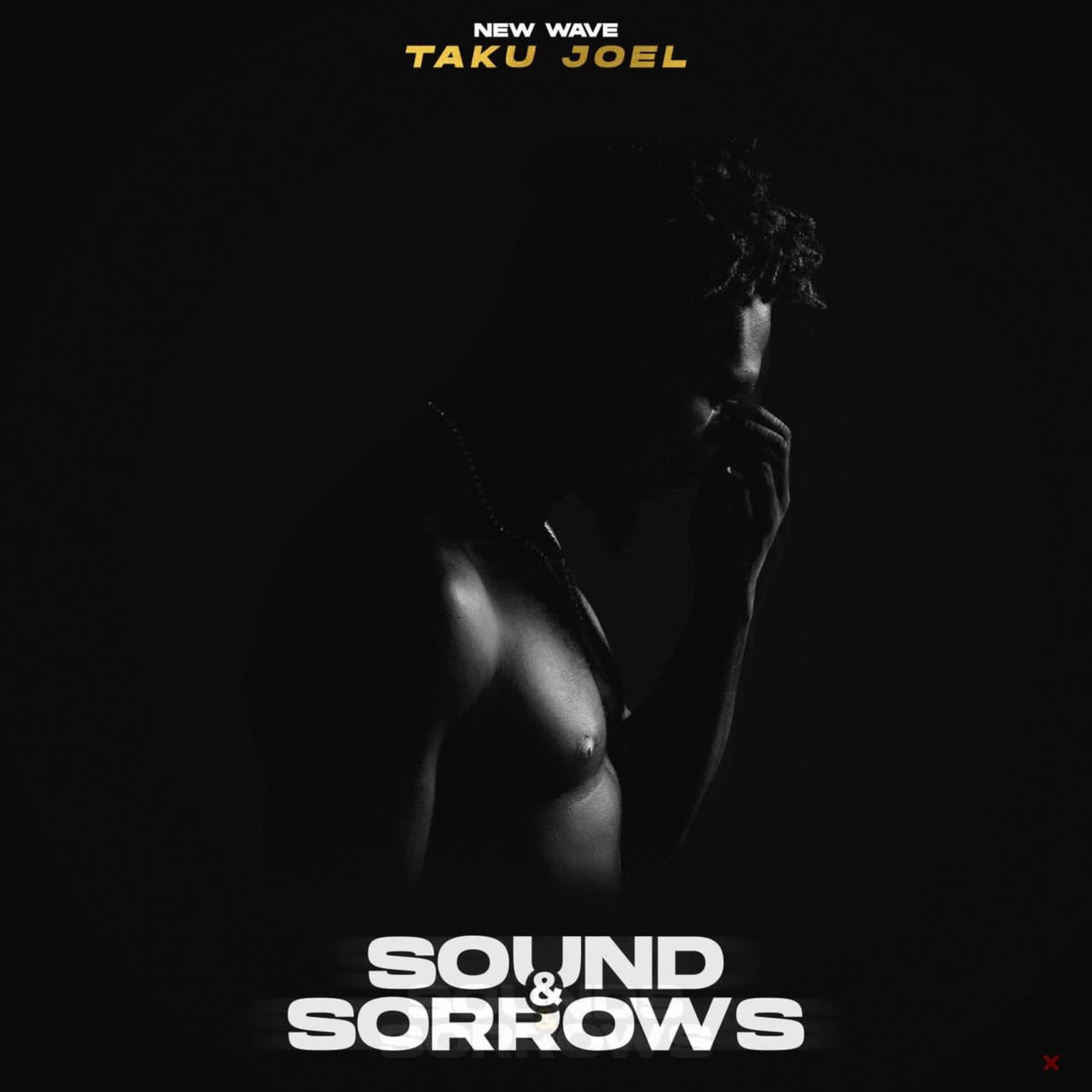Релиз Sound and Sorrows