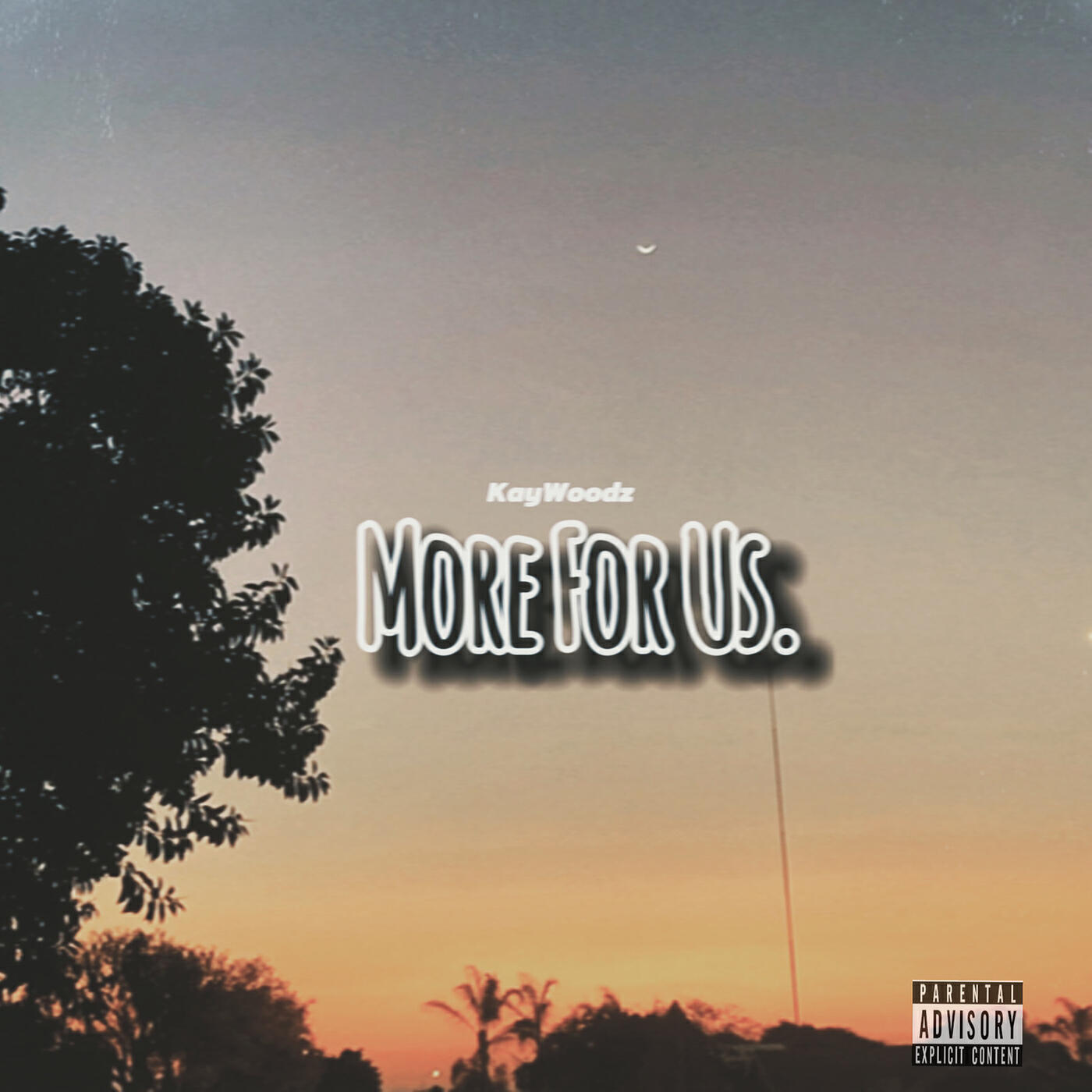 Релиз More for Us.