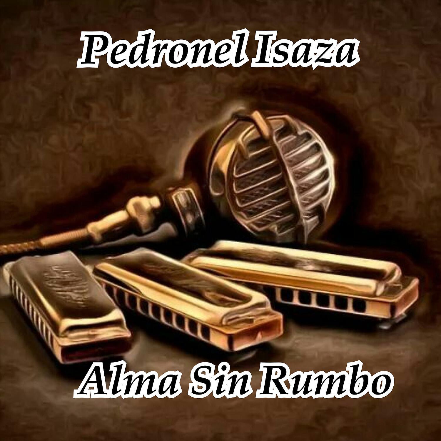 Релиз Alma Sin Rumbo