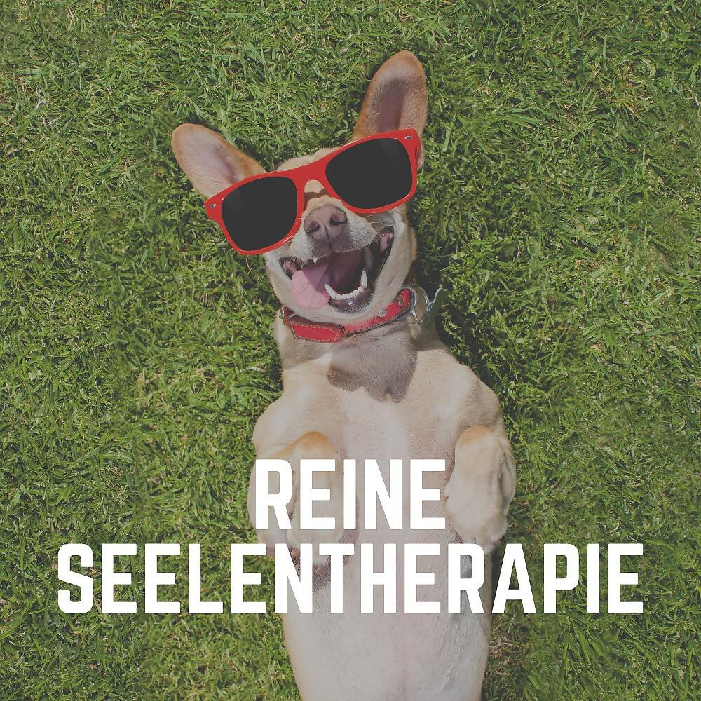 Релиз Reine Seelentherapie
