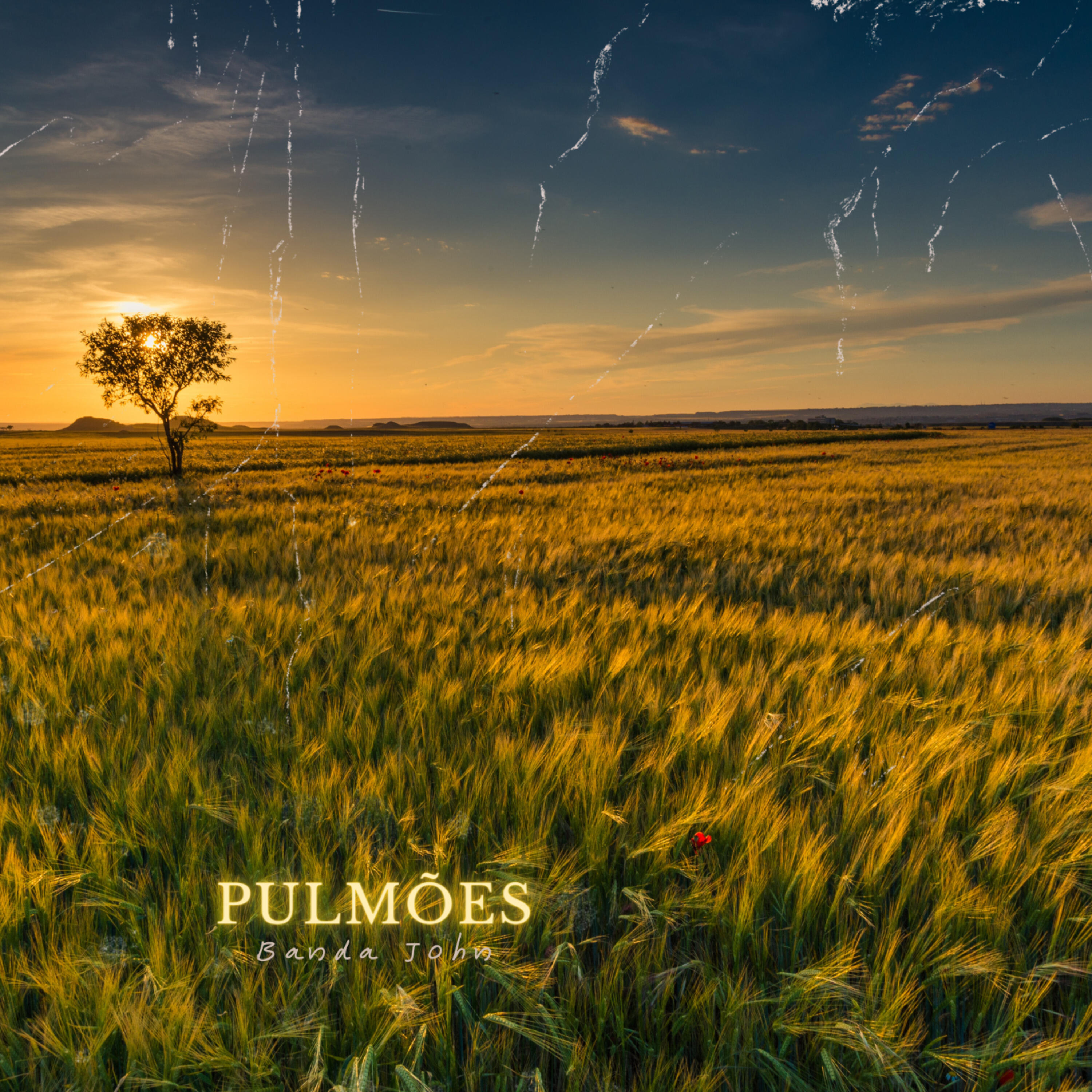 Релиз Pulmões