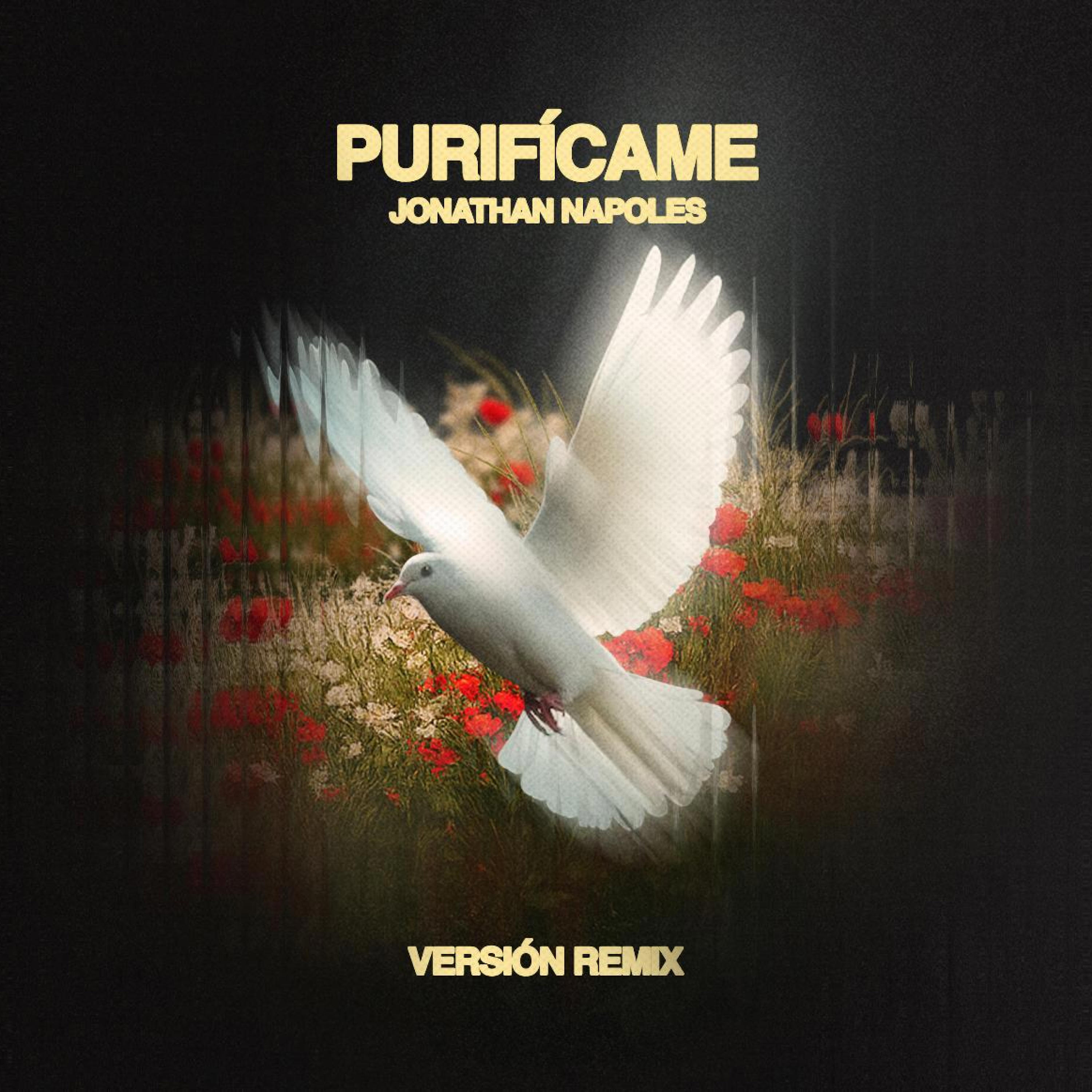 Релиз Purifícame (Remix)