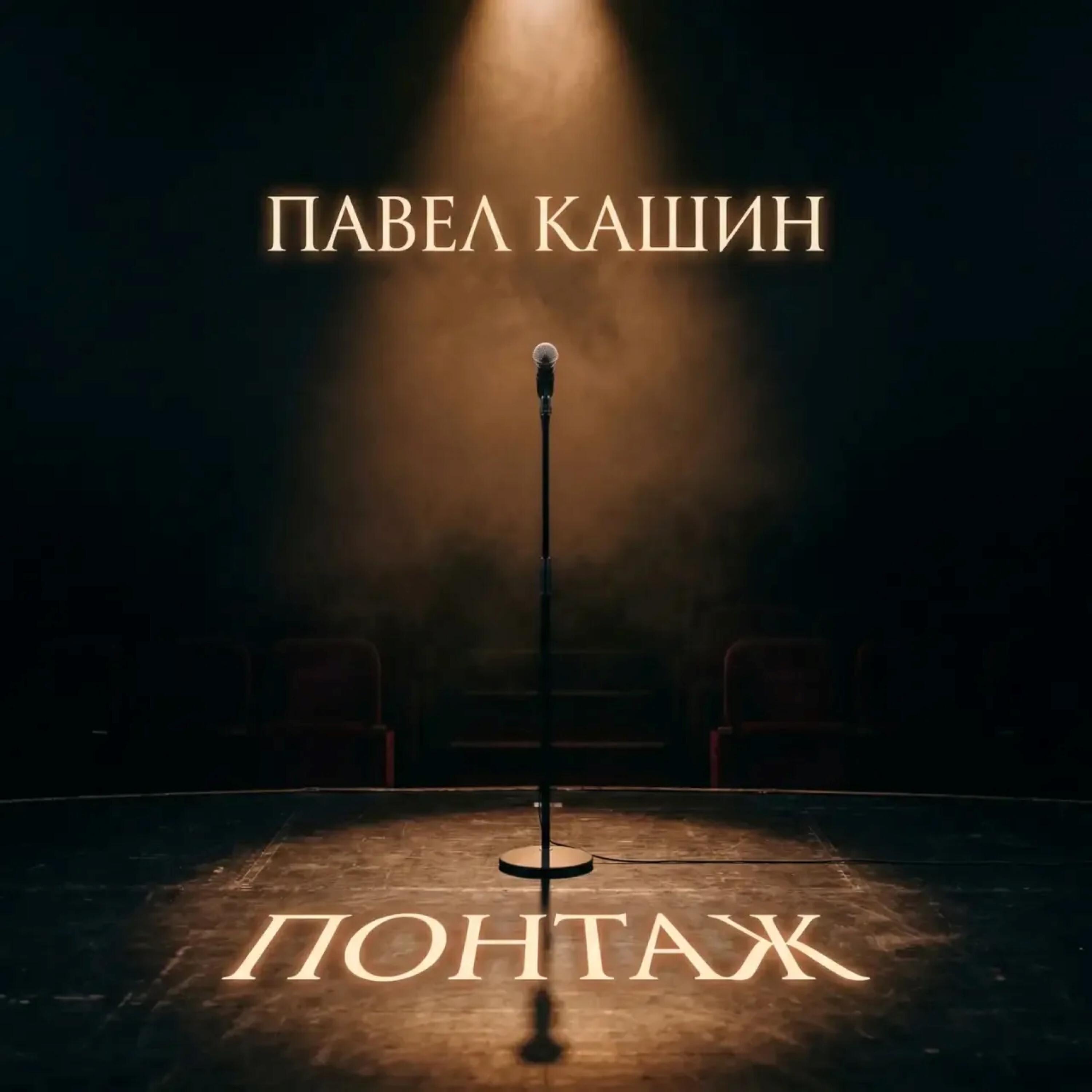 Павел Кашин - Сбитые лётчики