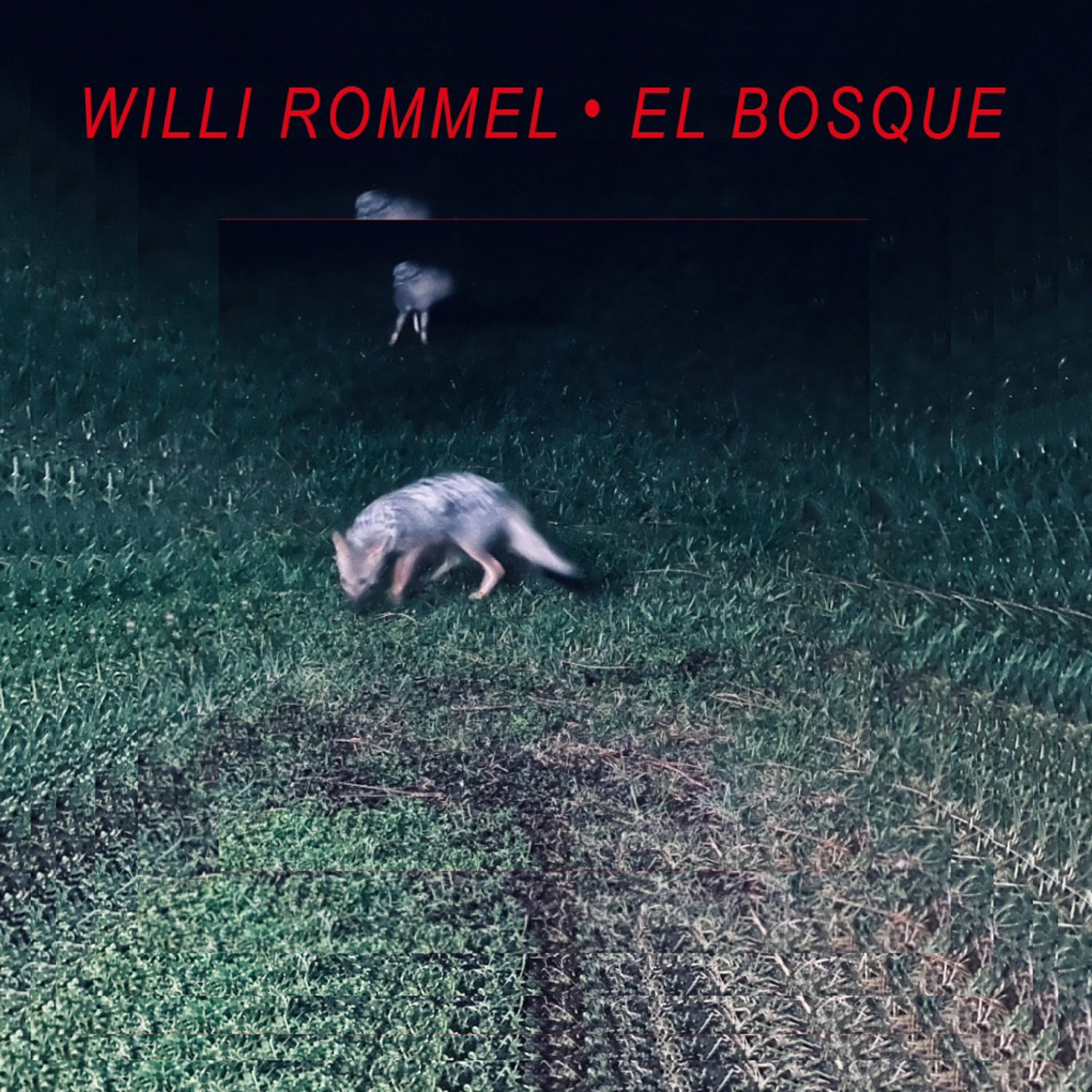 Willi Rommel