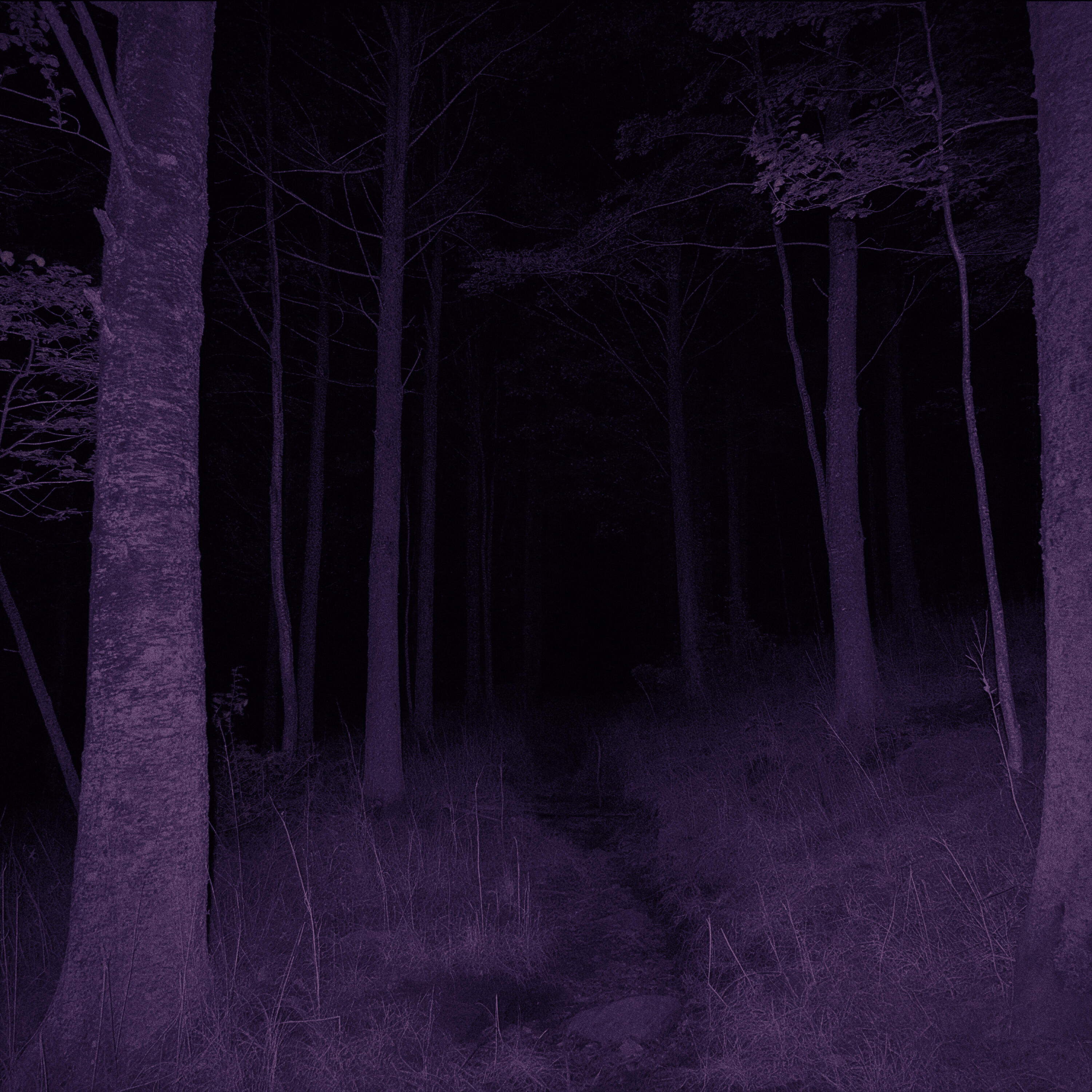 Релиз bleach (Slowed + Reverb)
