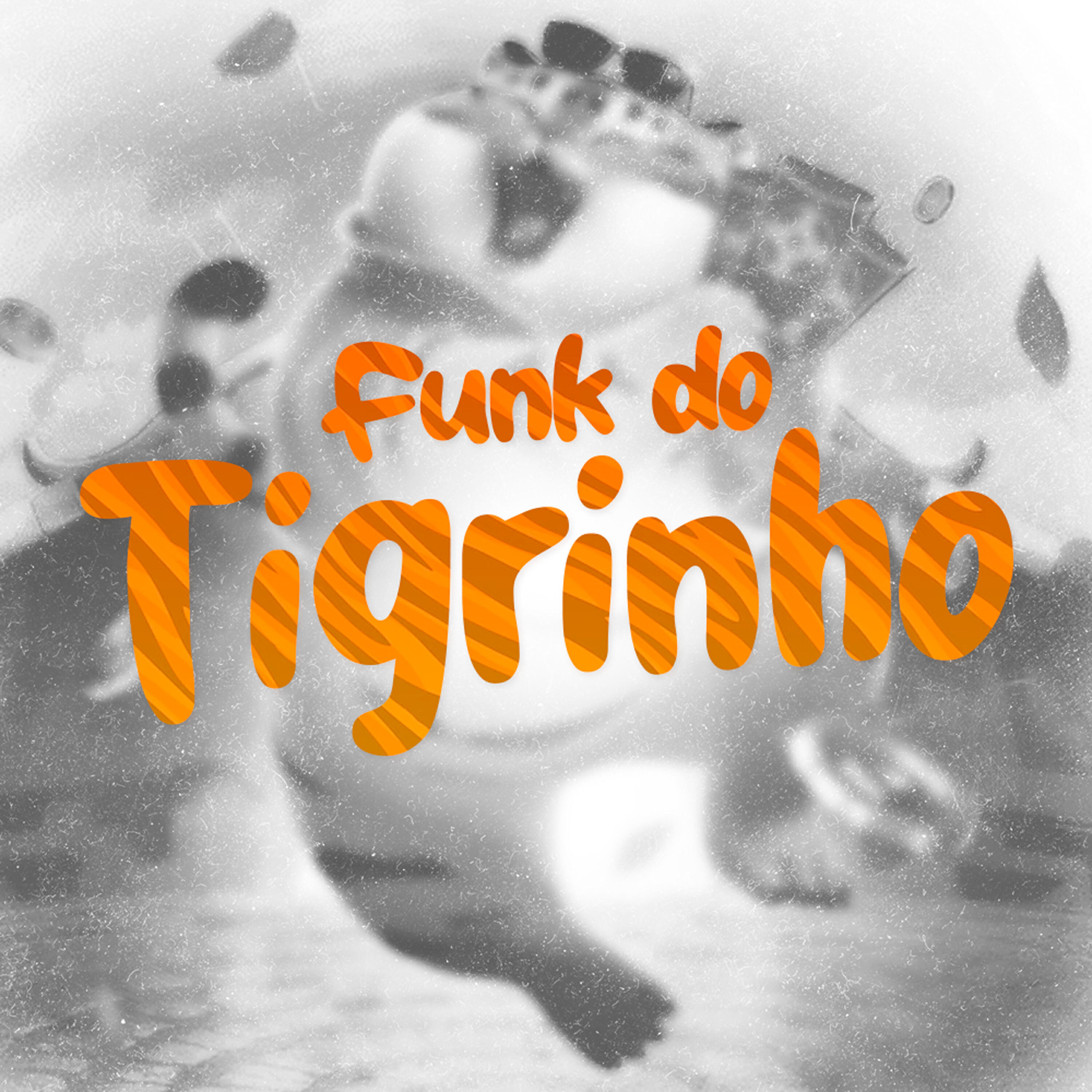 Релиз Funk do Tigrinho (Tropa do Drope)