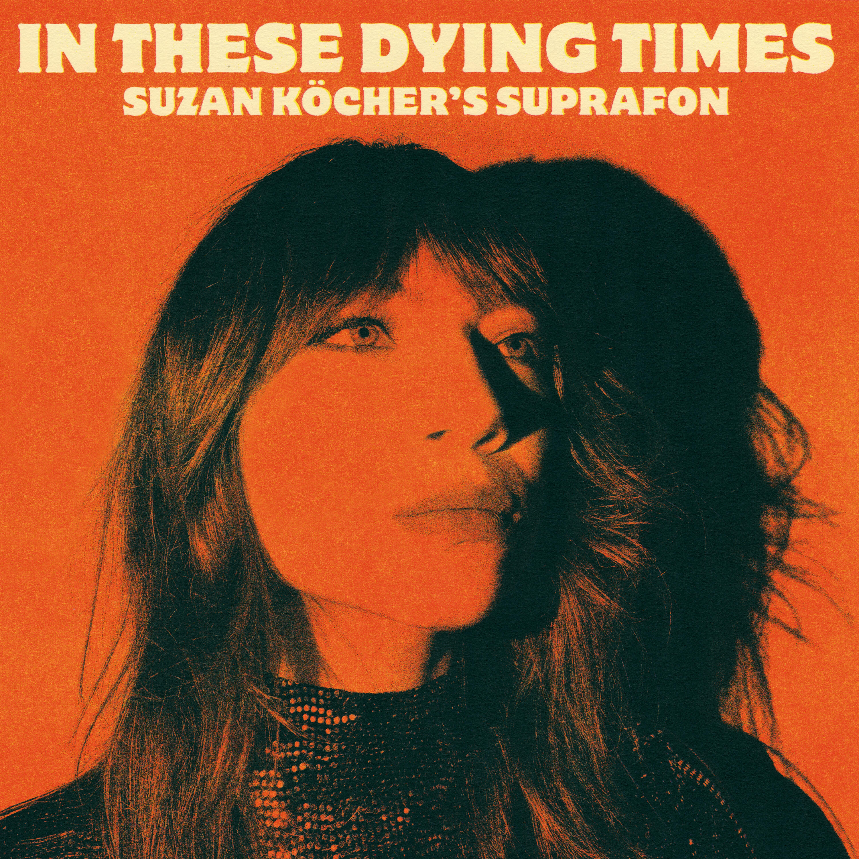 Релиз In These Dying Times