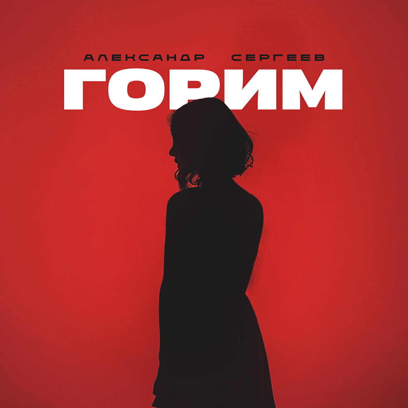 Постер альбома Горим