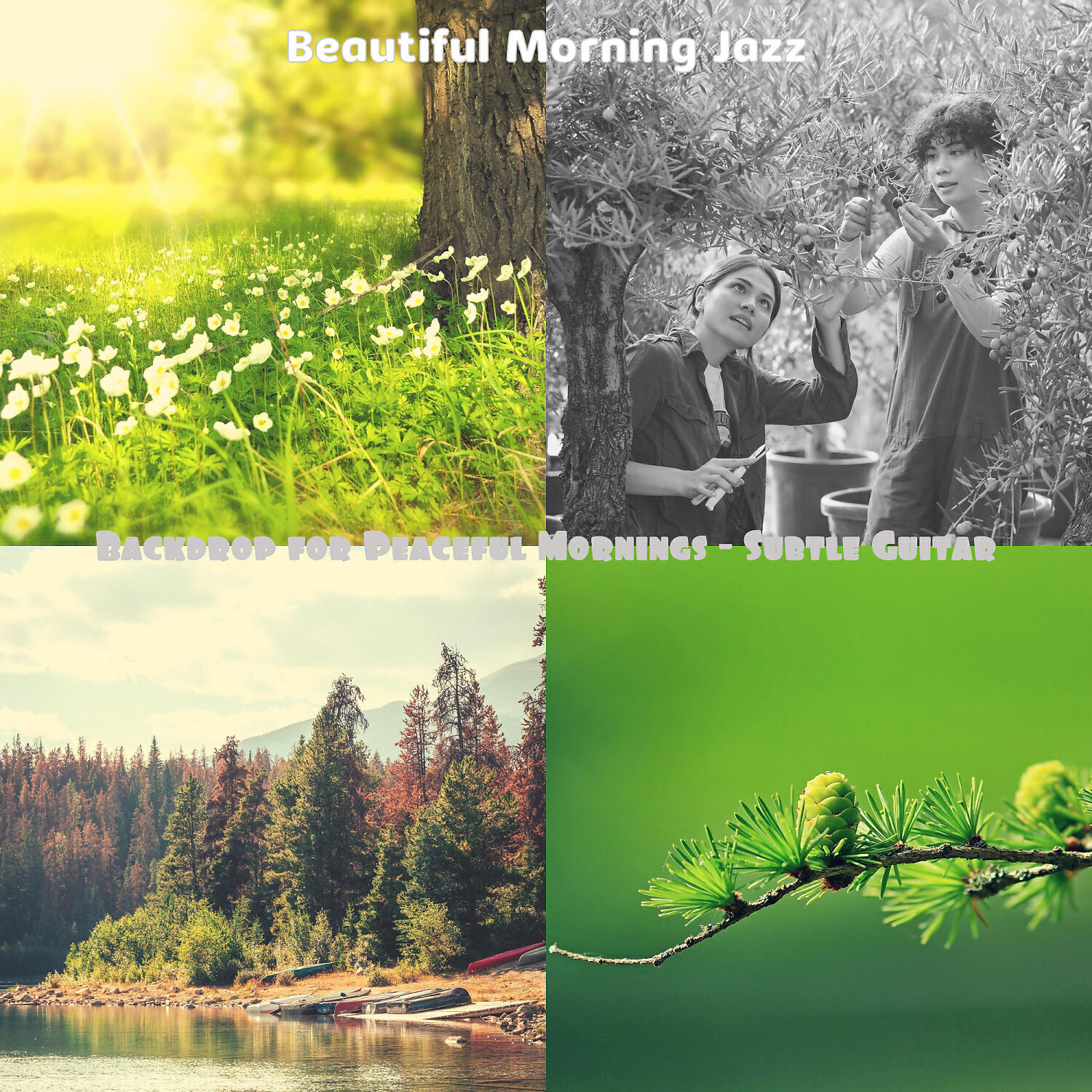Релиз Backdrop for Peaceful Mornings - Subtle Guitar