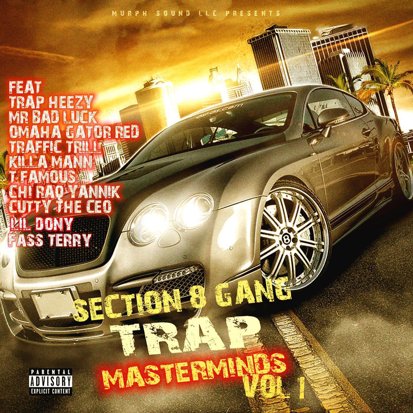 Section 8 G.a.n.G.