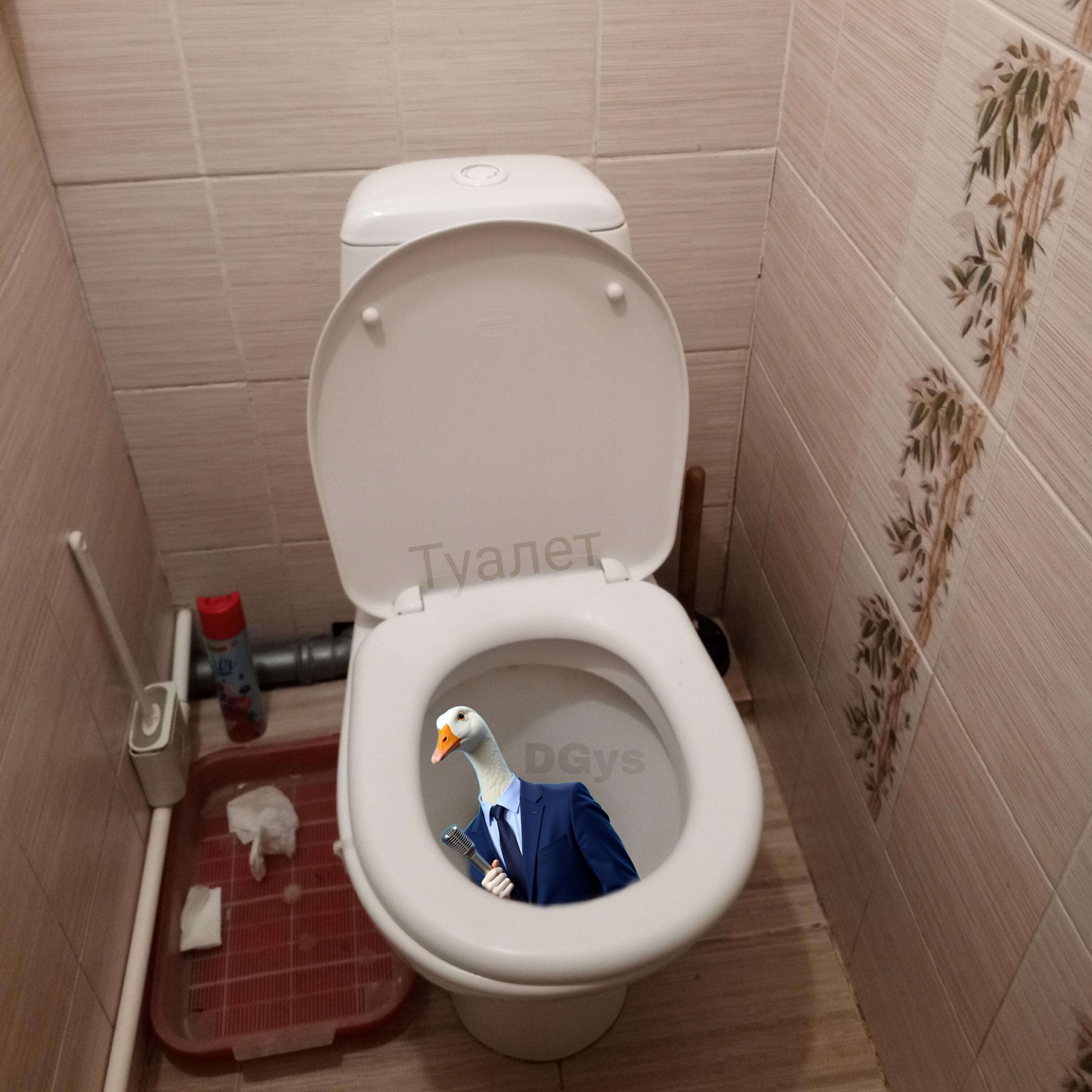 Релиз Туалет