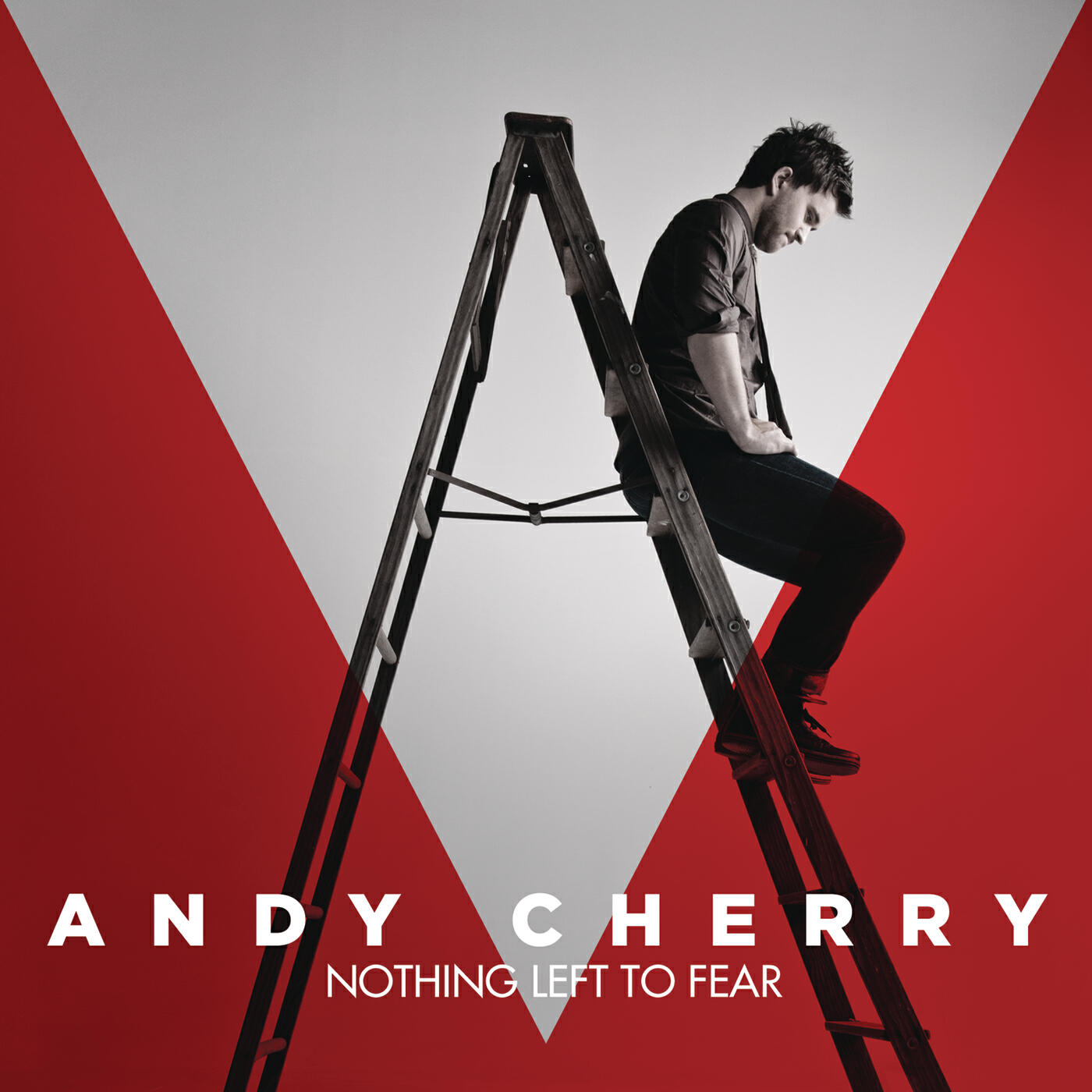 Постер альбома Nothing Left To Fear