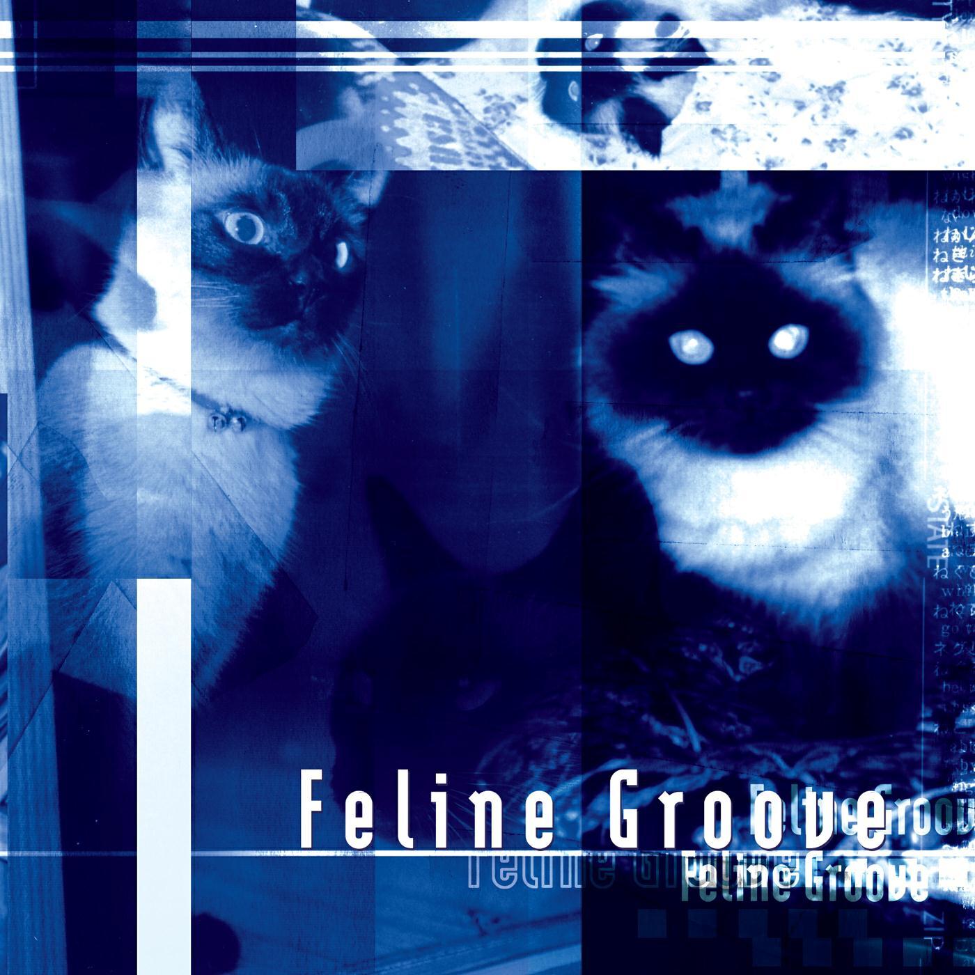 Релиз Feline Groove