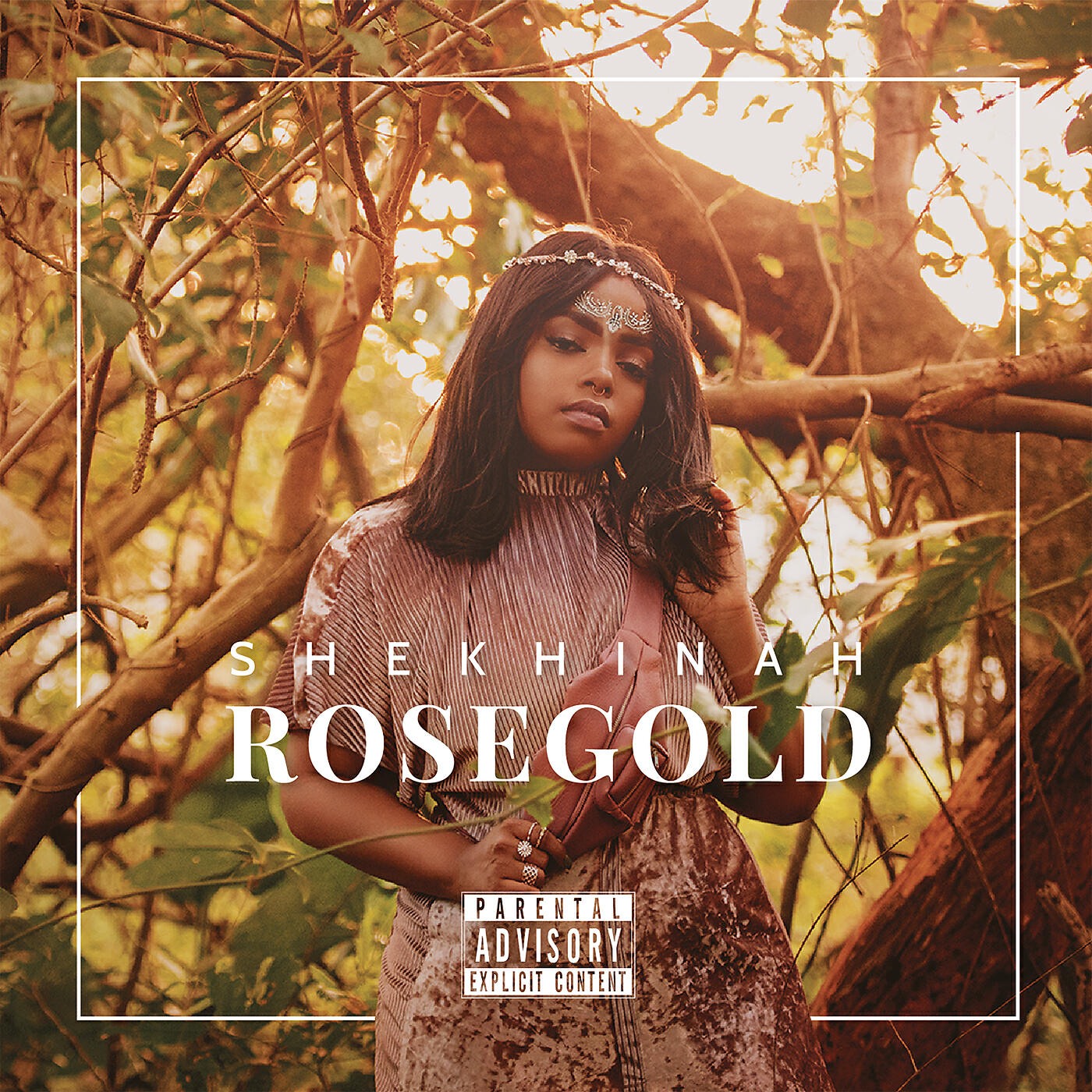 Релиз Rose Gold