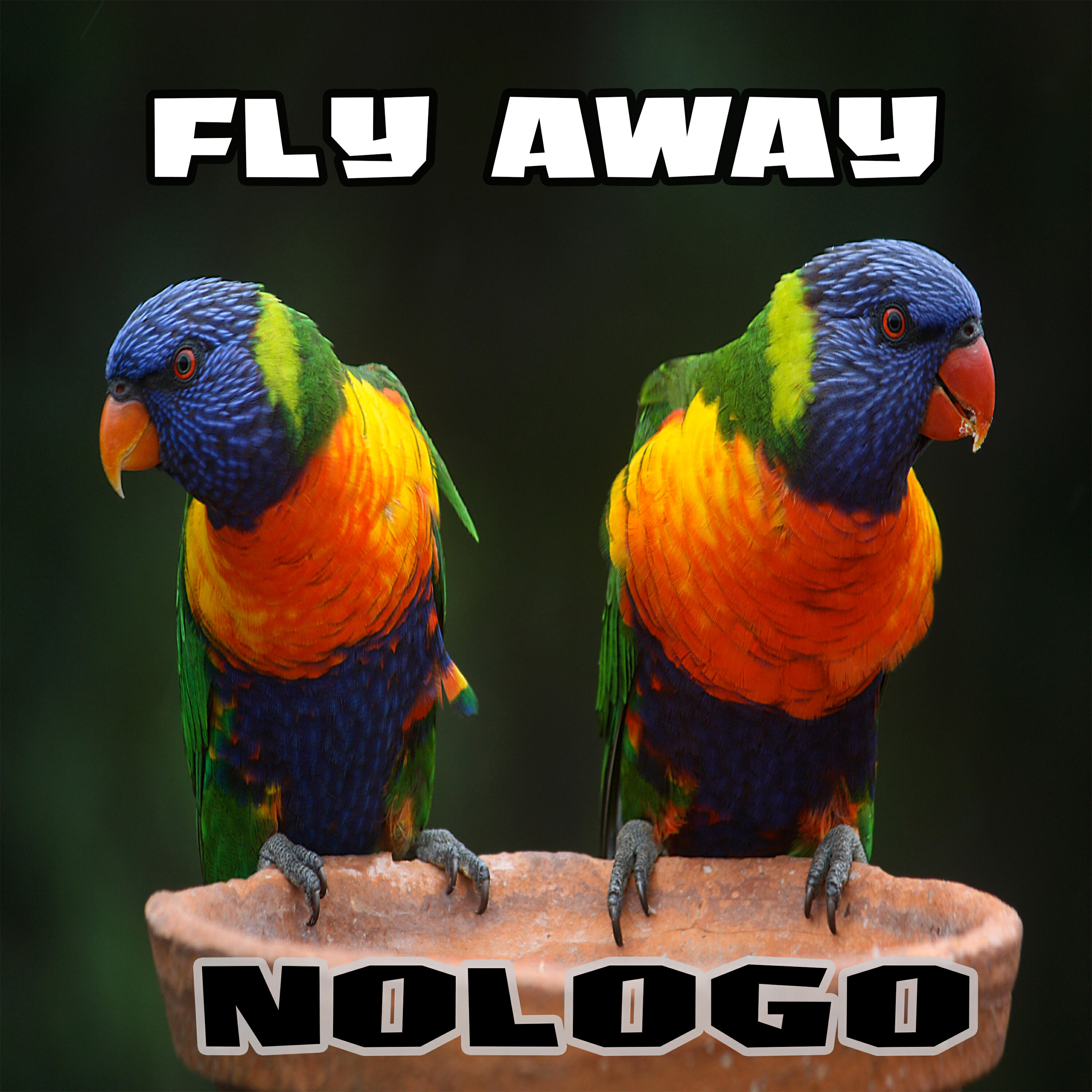 Релиз Fly Away