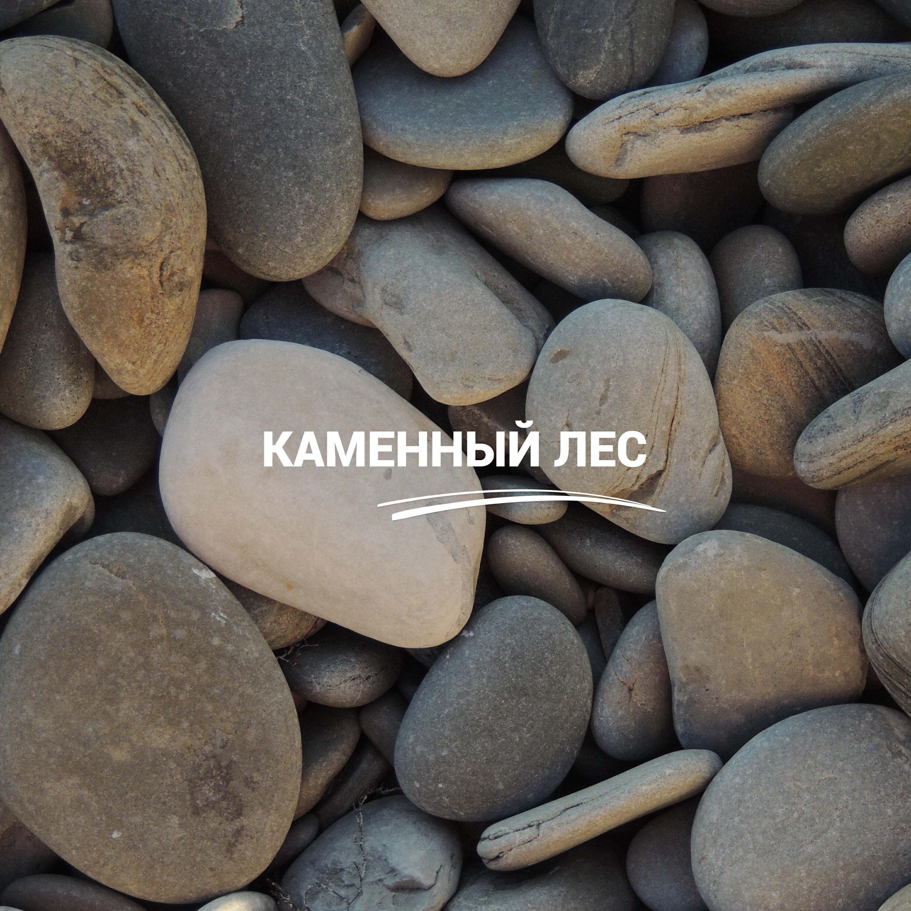Релиз Каменный лес