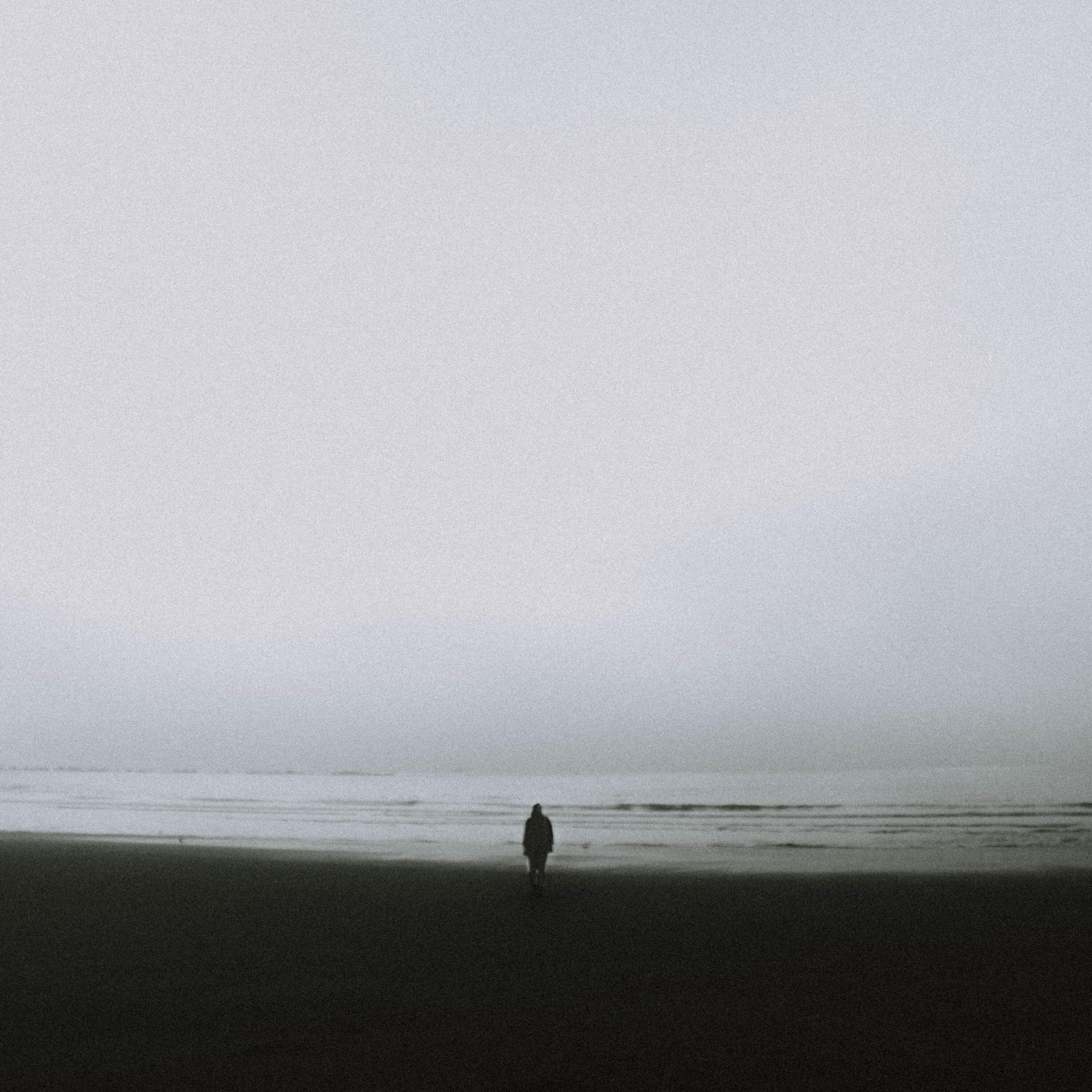 Релиз Con sentimento