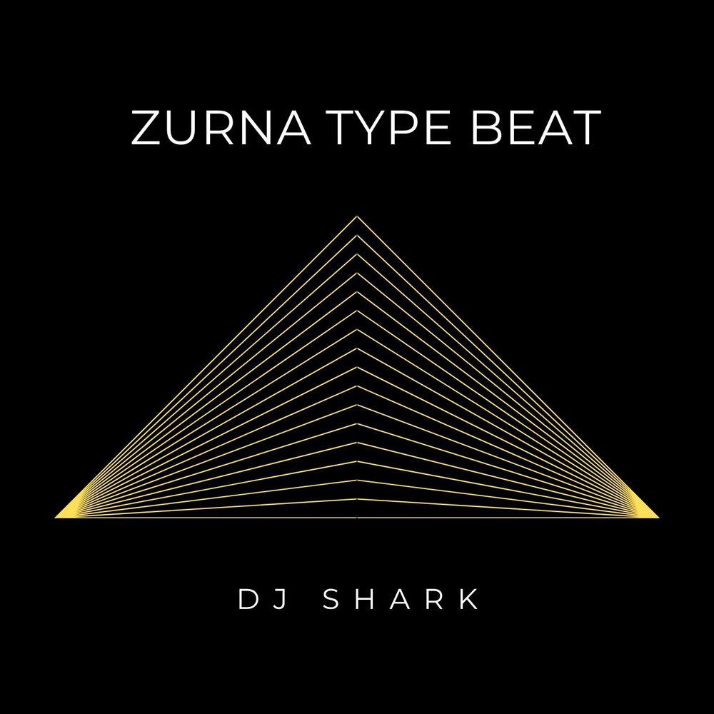 Релиз ZURNA TYPE BEAT