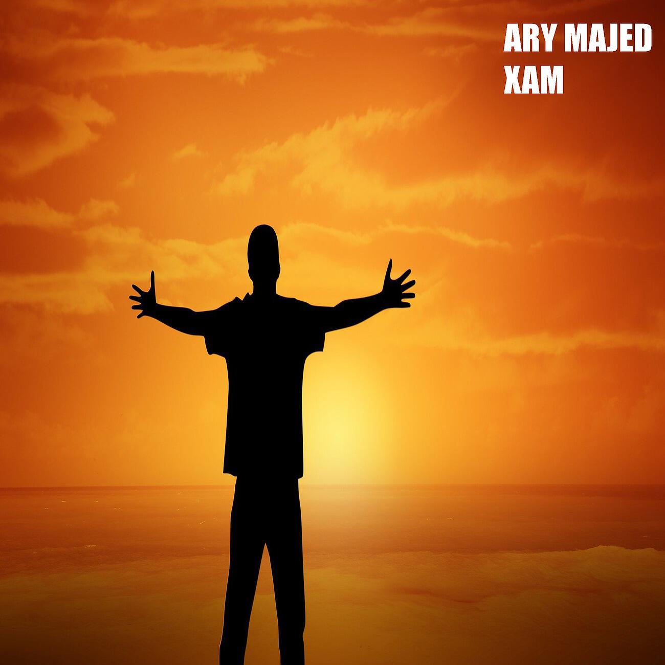 Ary Majed