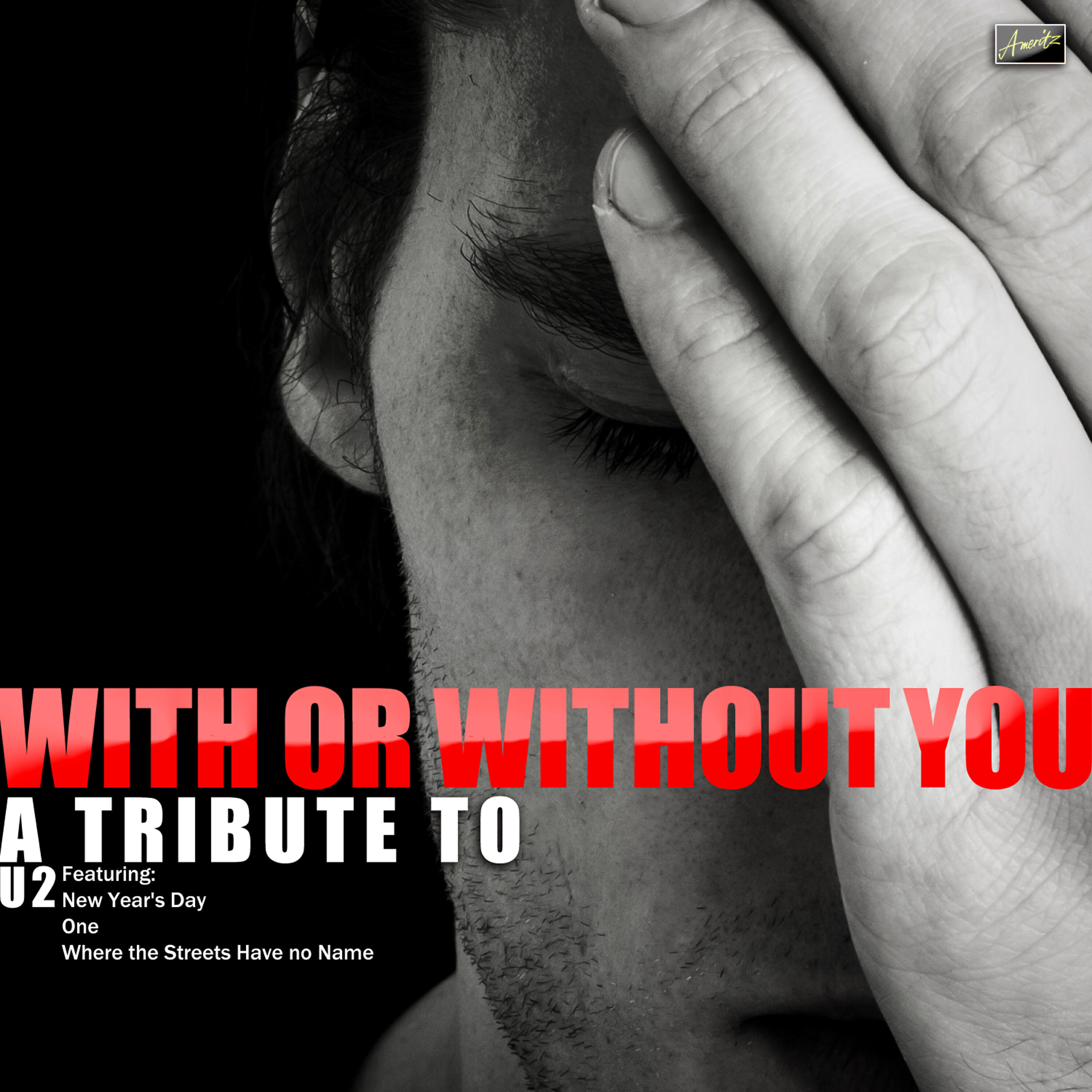 Релиз With or Without You - A Tribute to U2