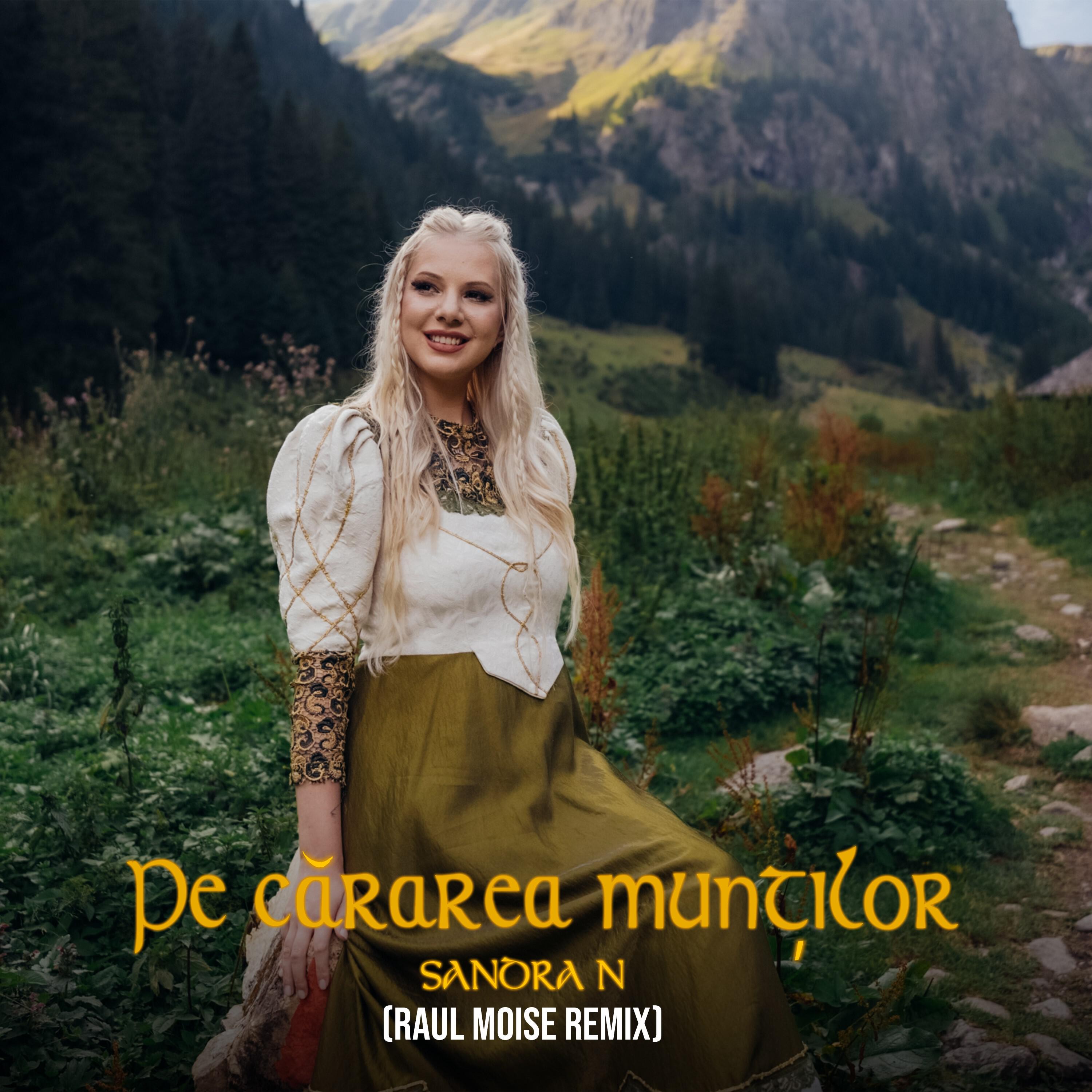 Постер альбома Pe cărarea munților