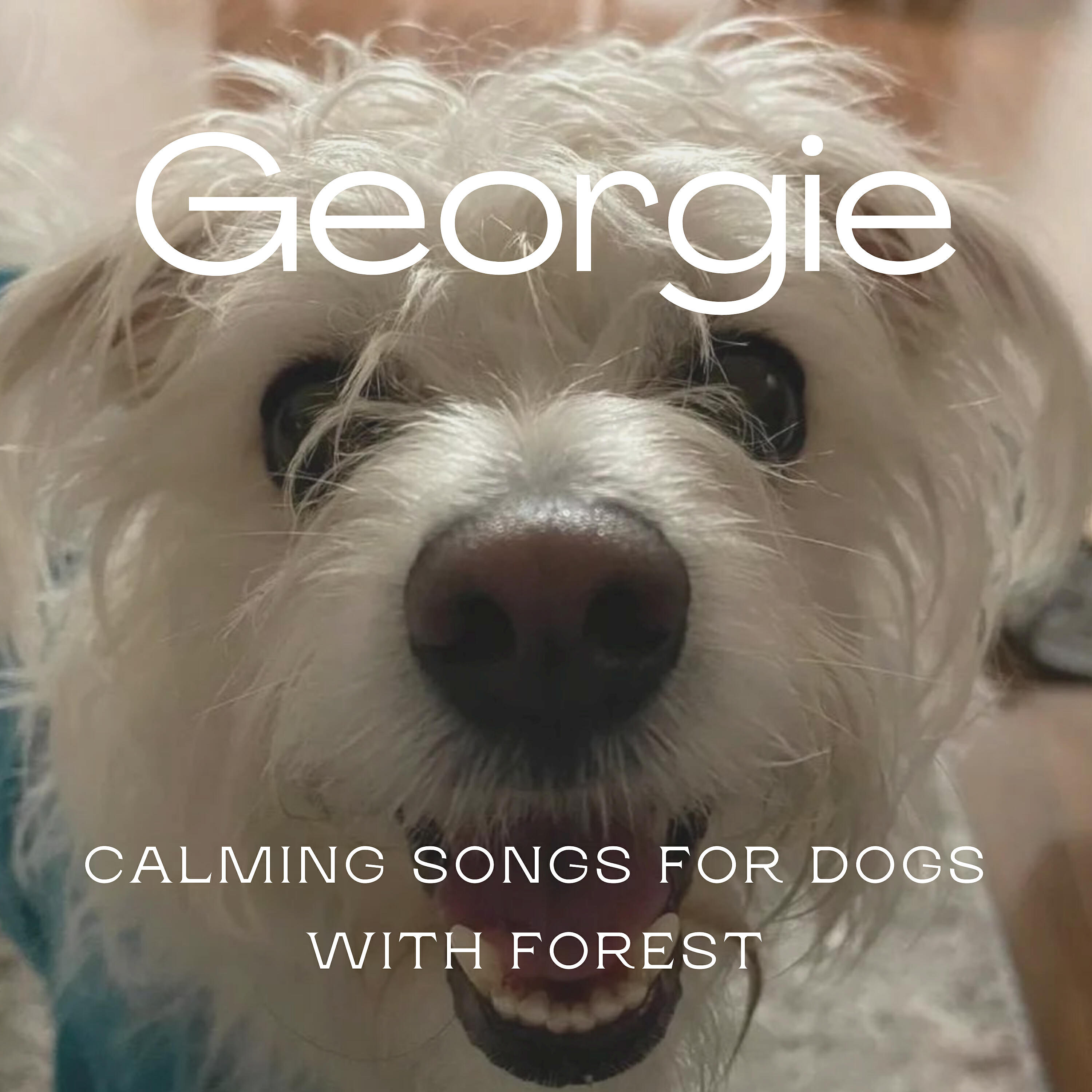 Релиз Georgie