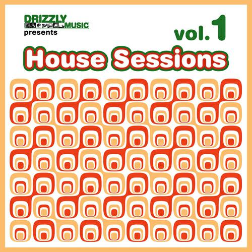 Релиз Drizzly House Sessions, Vol. 1
