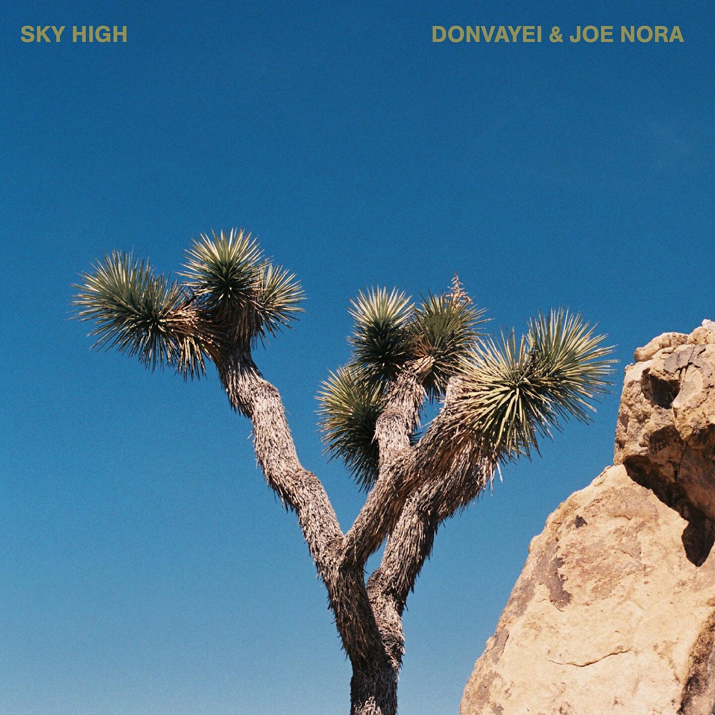 Скачать песню Joe Nora, DonVayei - sky high бесплатно в MP3 для Android и iOS