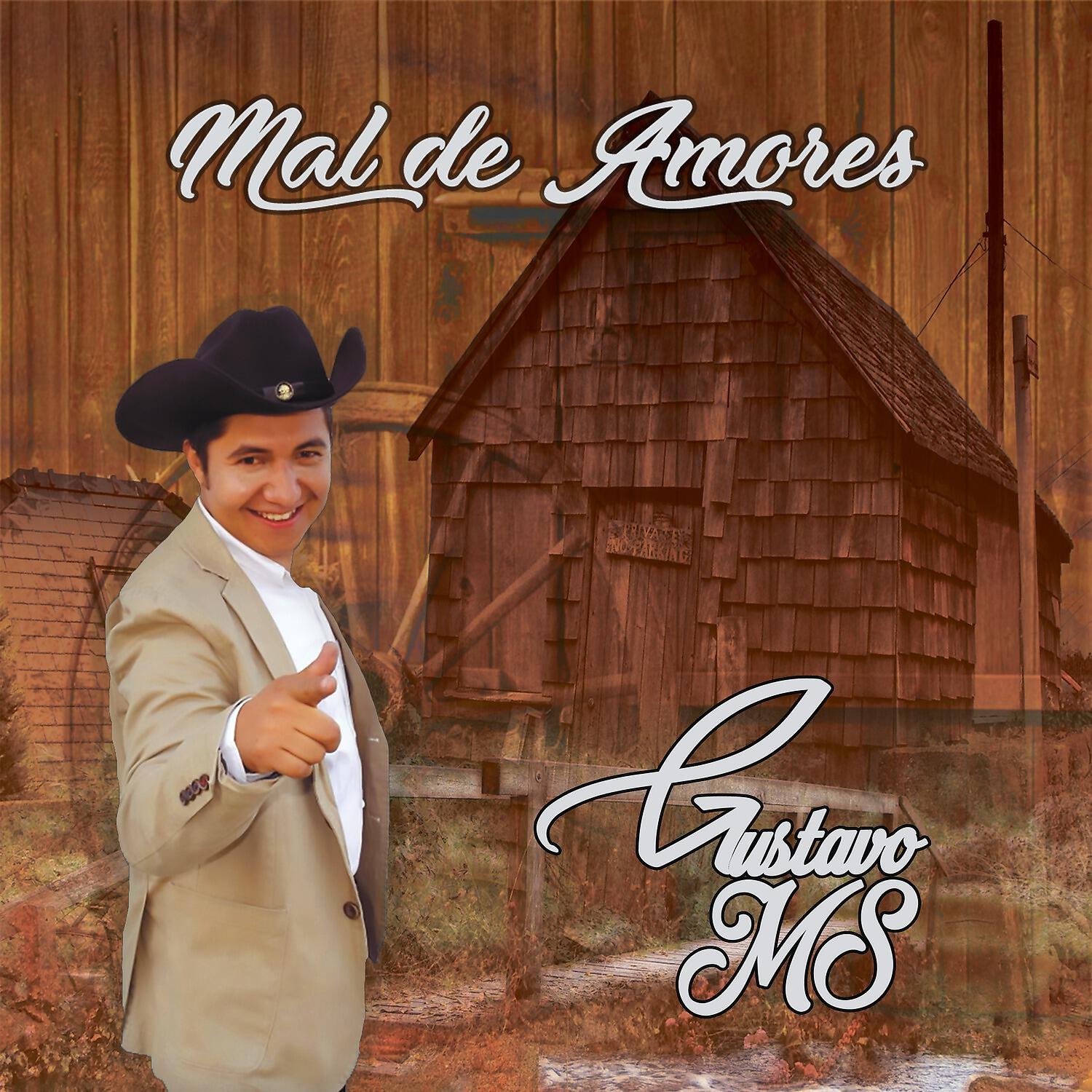Gustavo MS