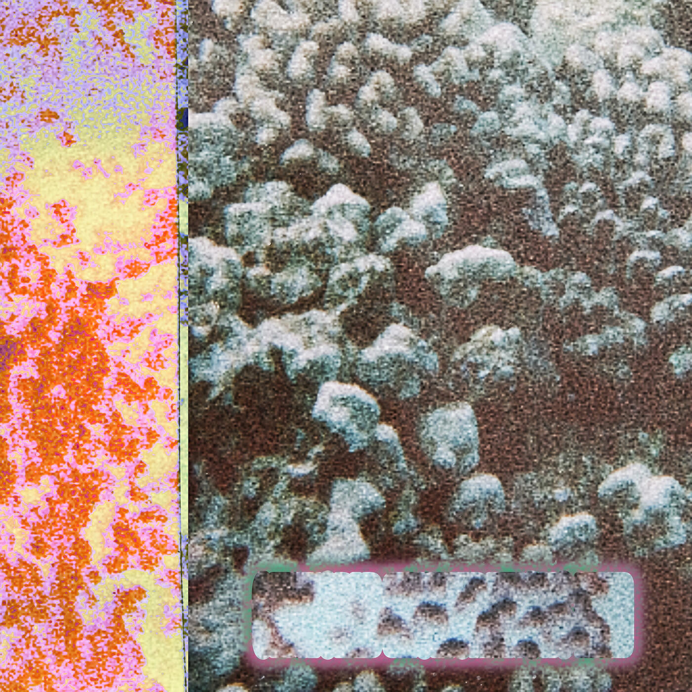 Релиз Offworld (Murmuration Mix)