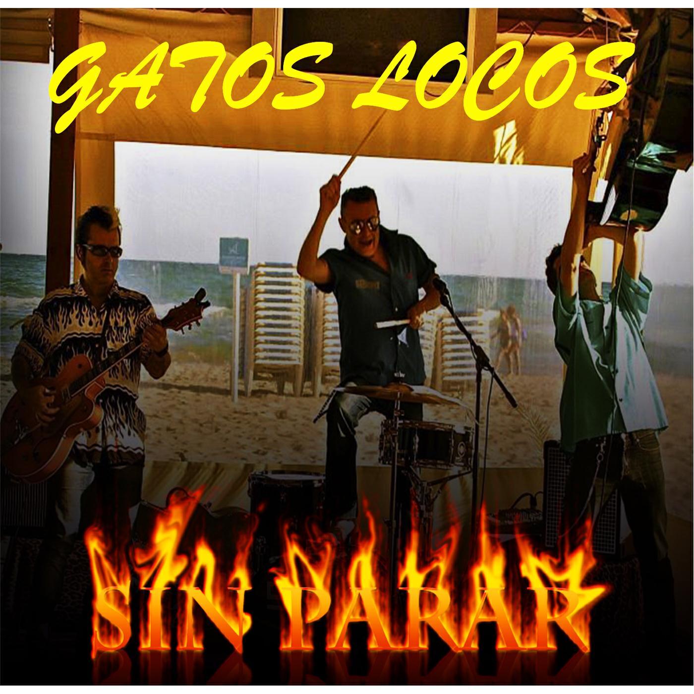 Релиз Sin Parar
