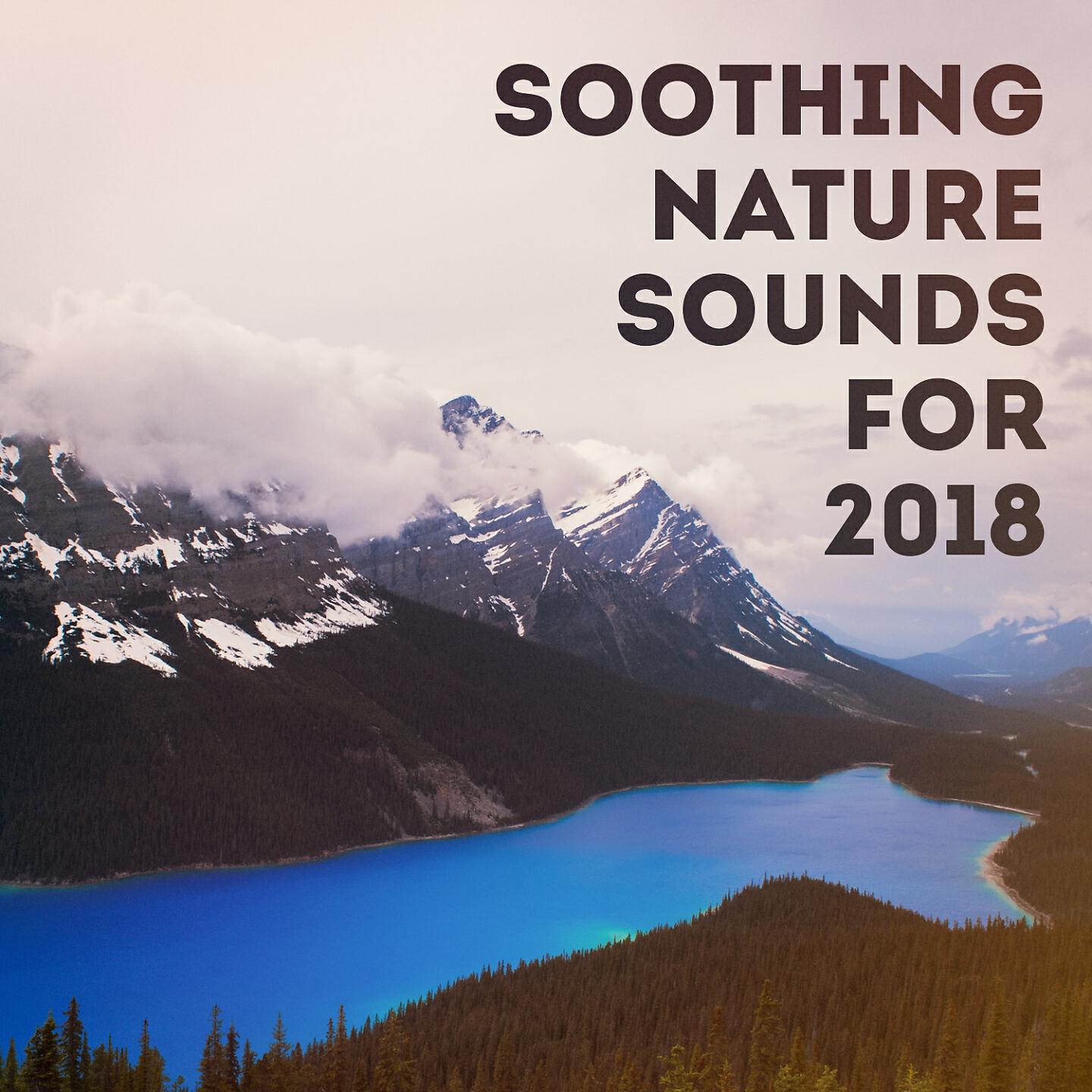 Релиз Soothing nature sounds for 2018