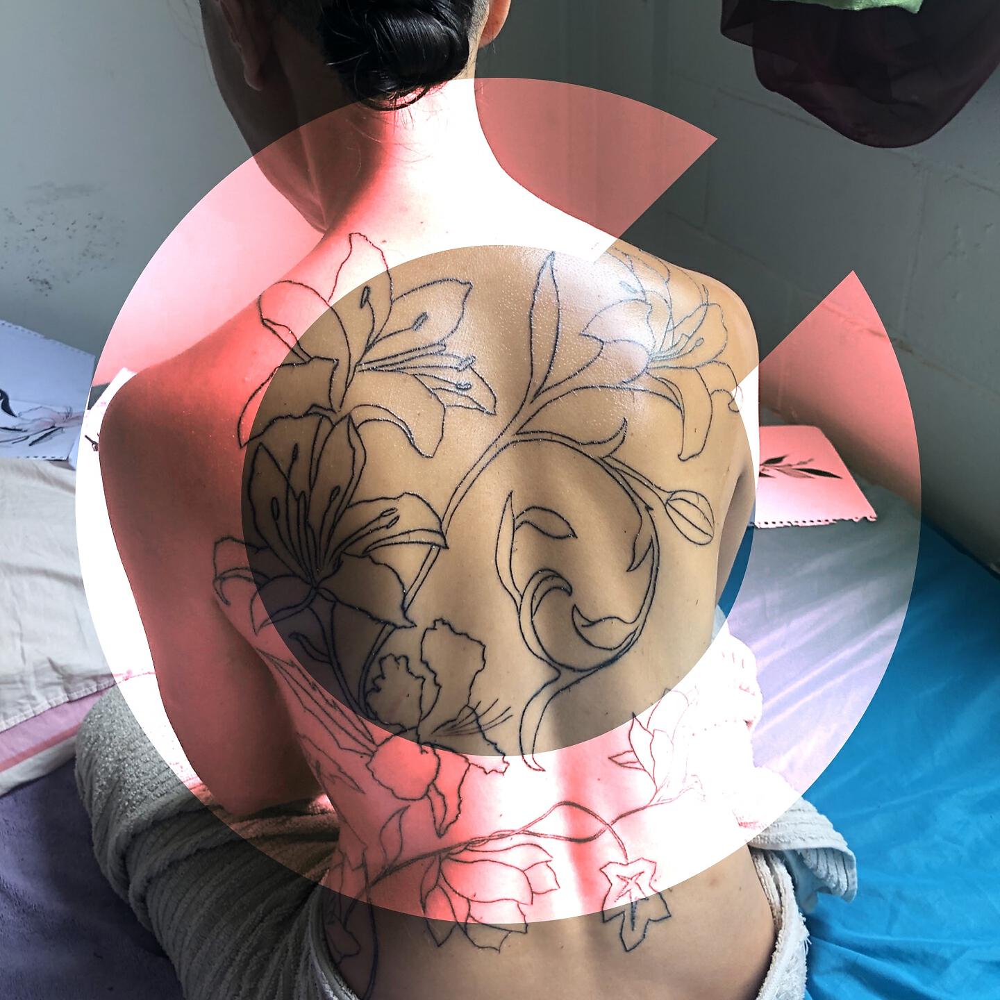 Релиз Orchid