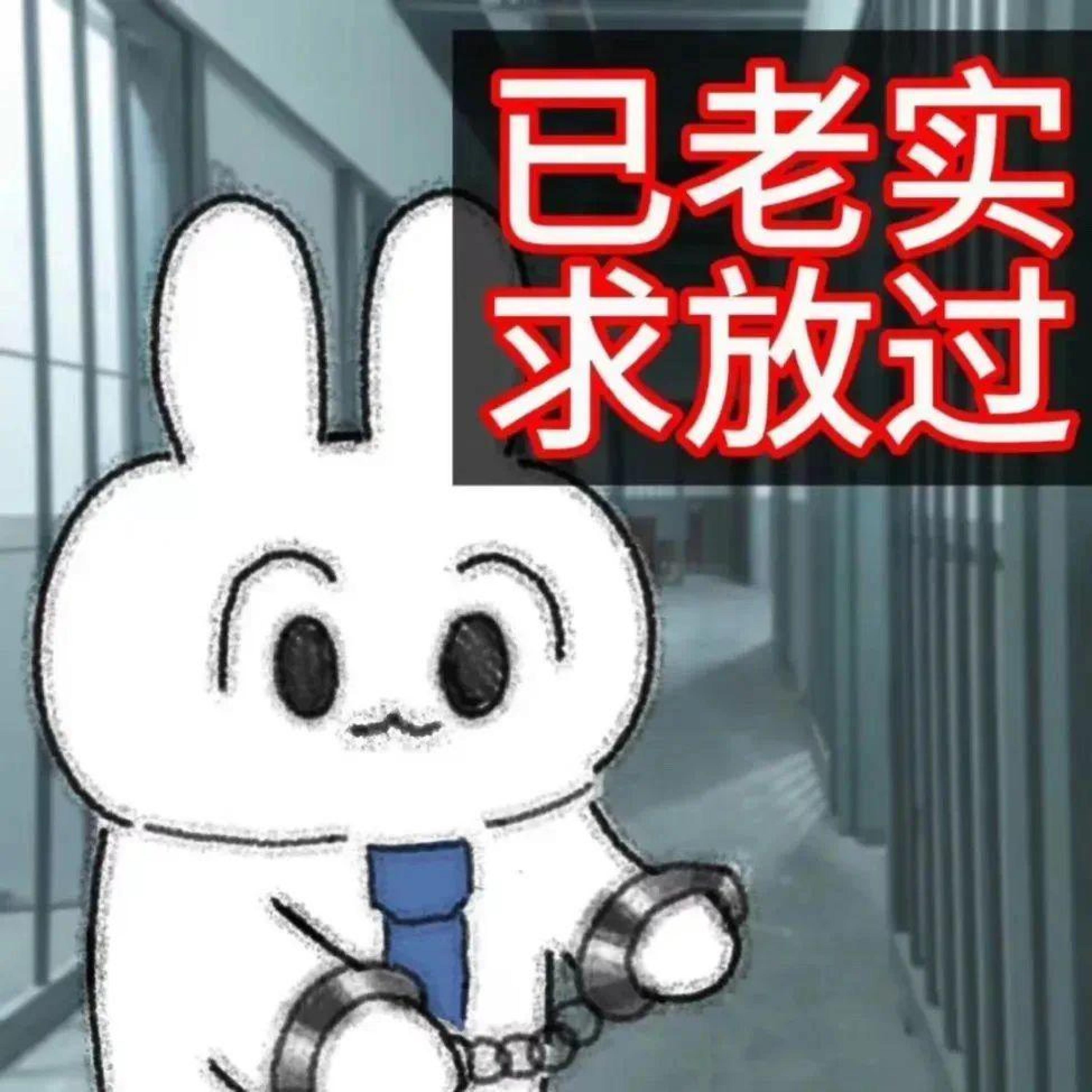 Релиз 吠了就废了