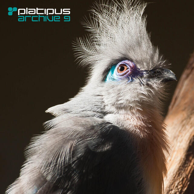 Релиз Platipus - Archive 9