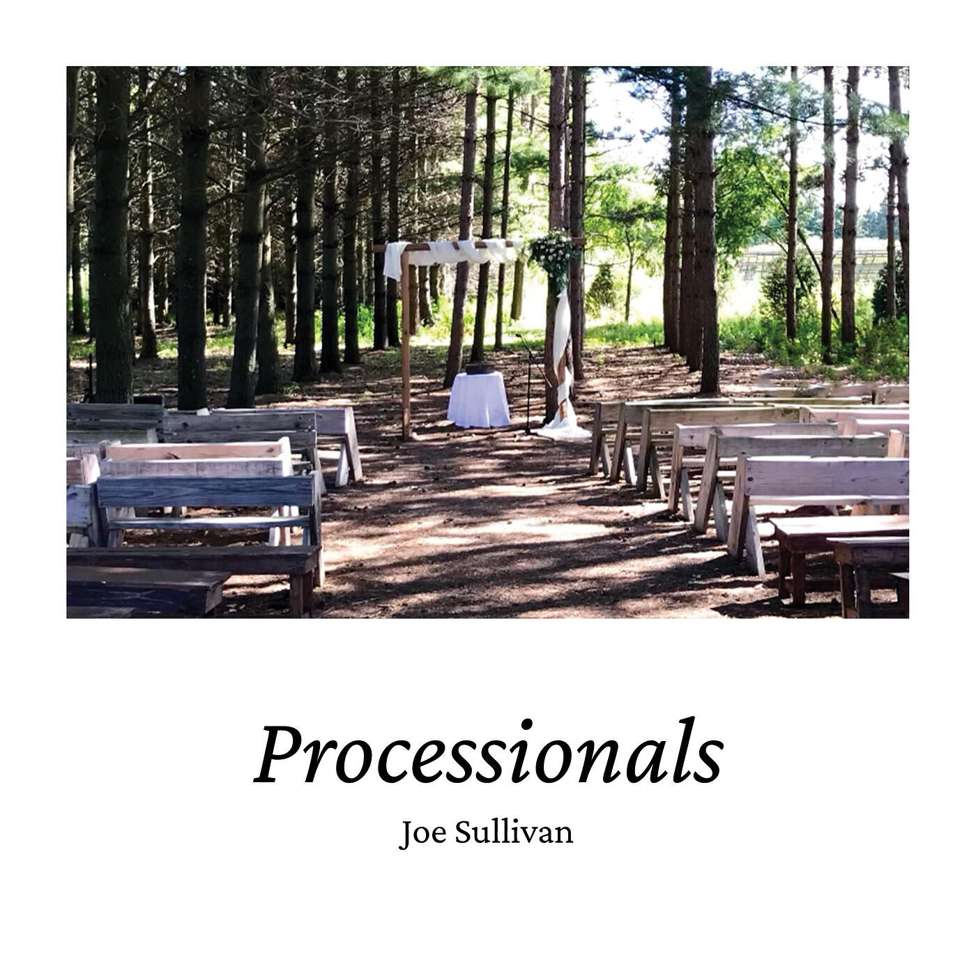 Релиз Processionals
