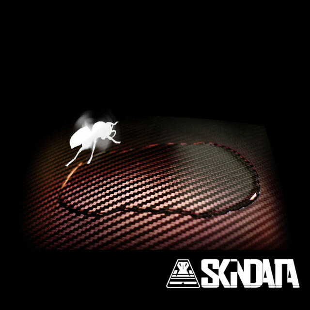 Релиз Skindata