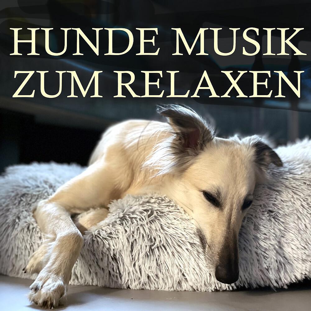 Релиз Hunde Musik zum Relaxen