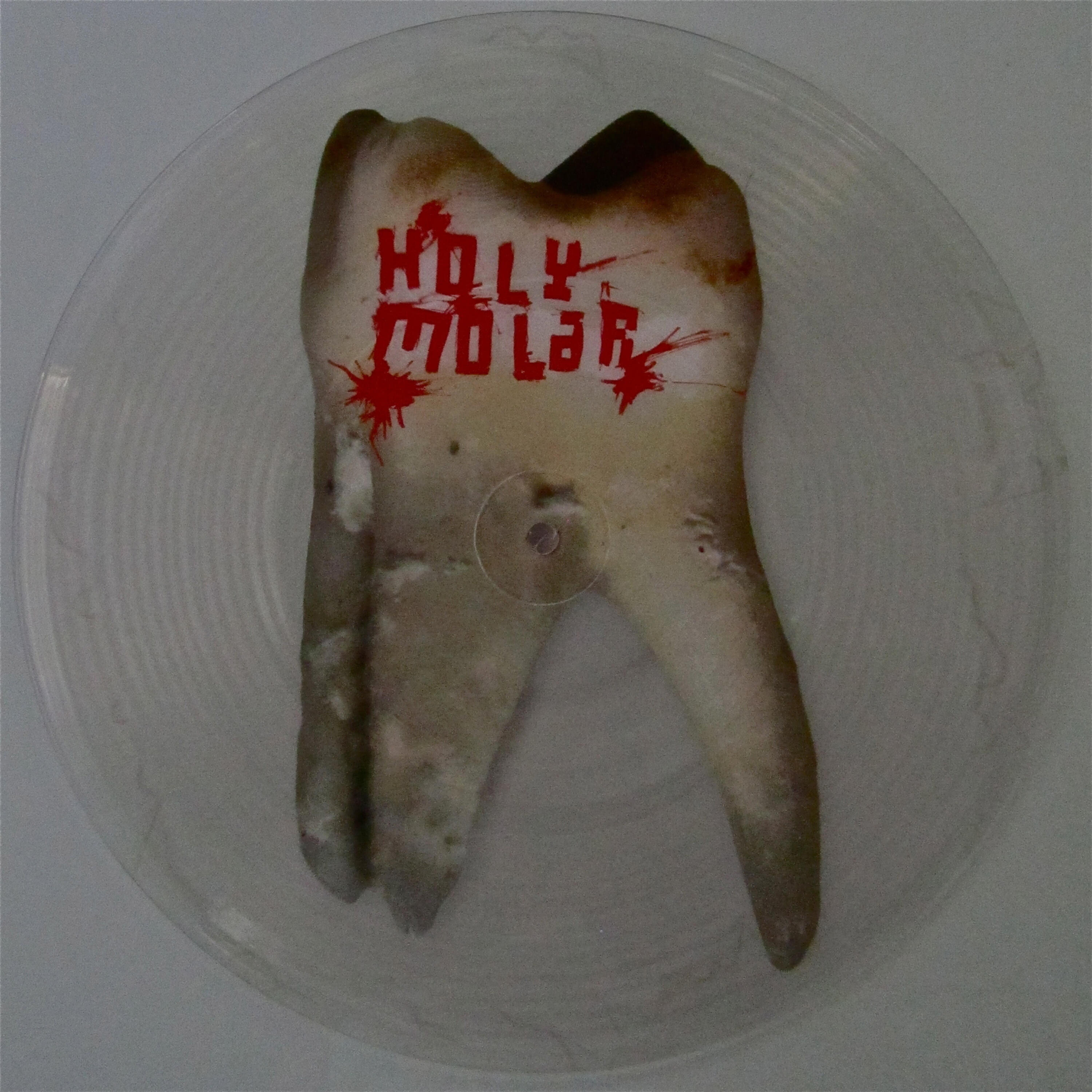 Релиз Holy Molar