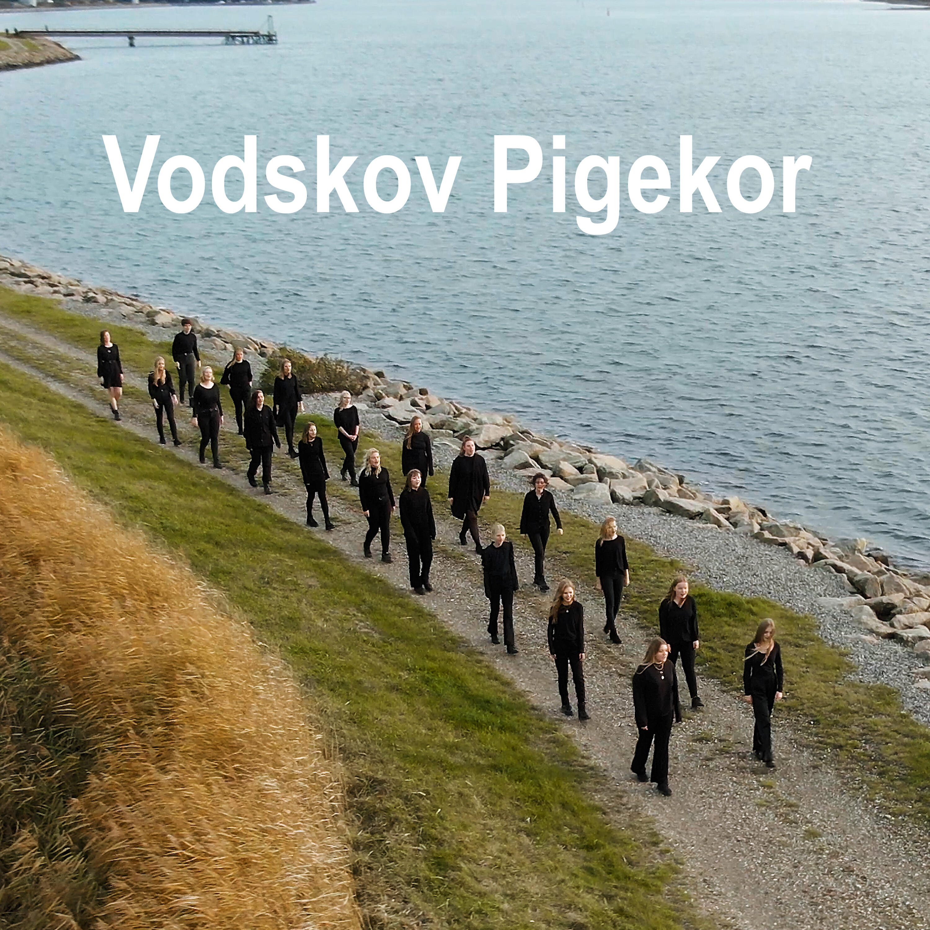 Релиз Vodskov Pigekor EP 2020