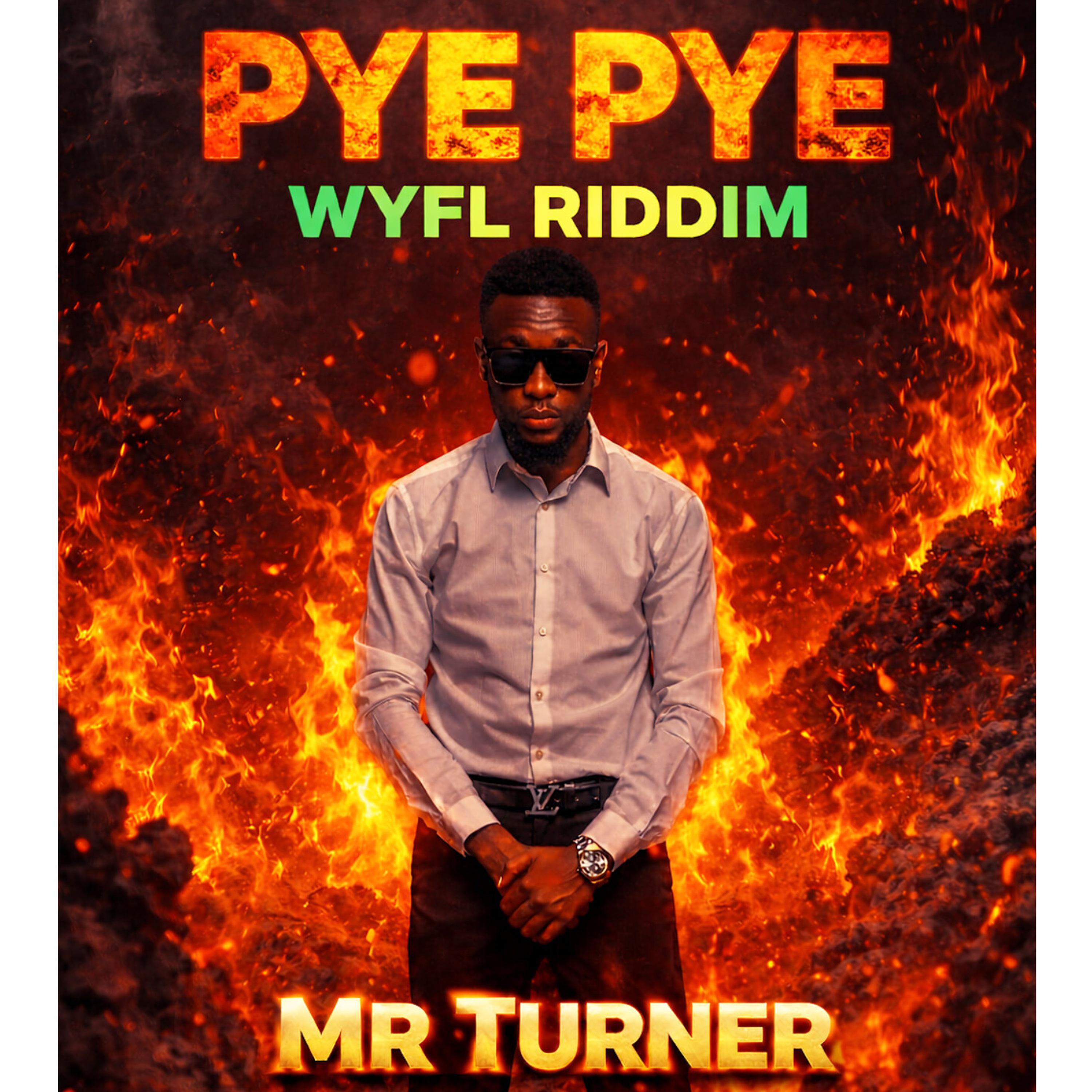 Mr Turner