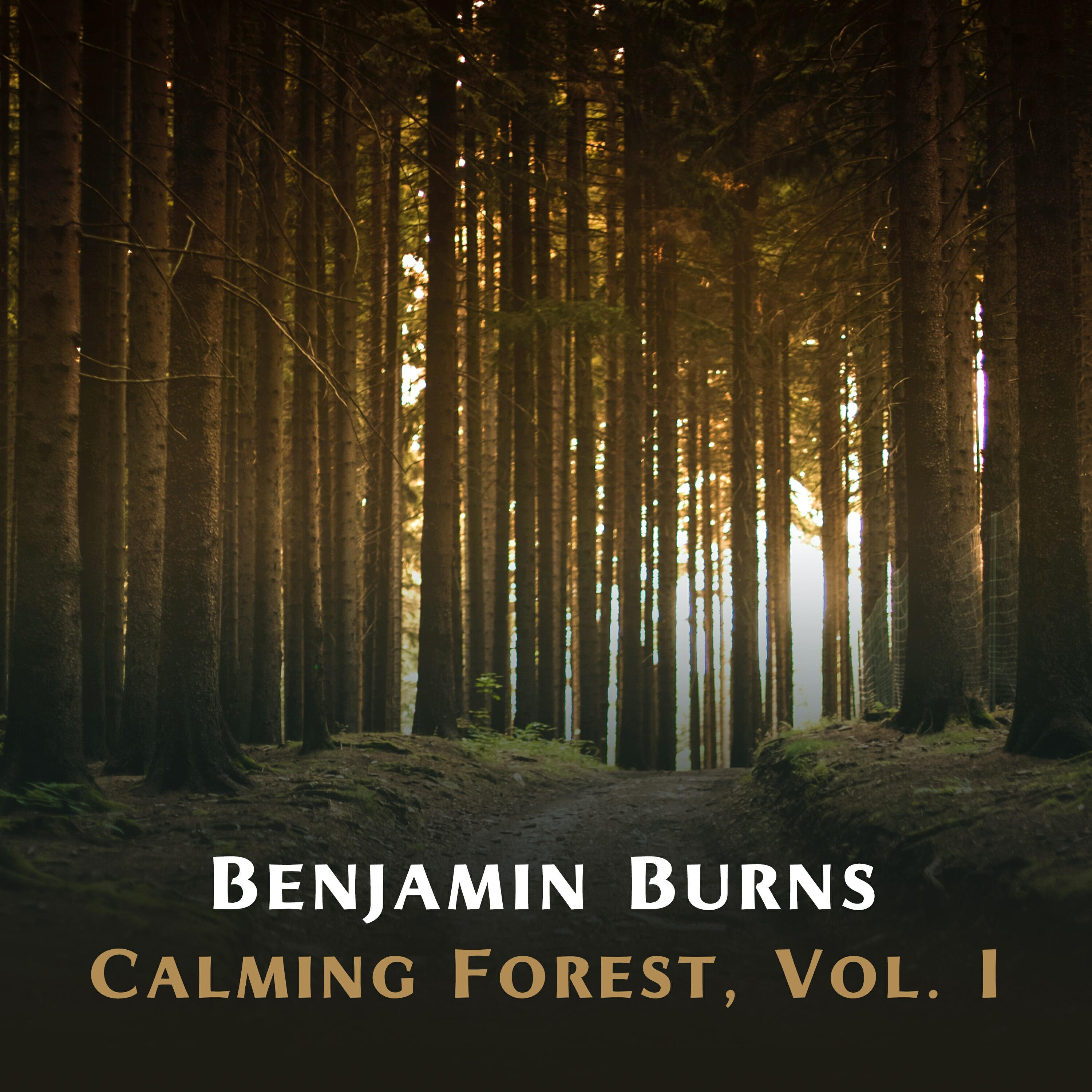 Релиз Calming Forest, Vol. I