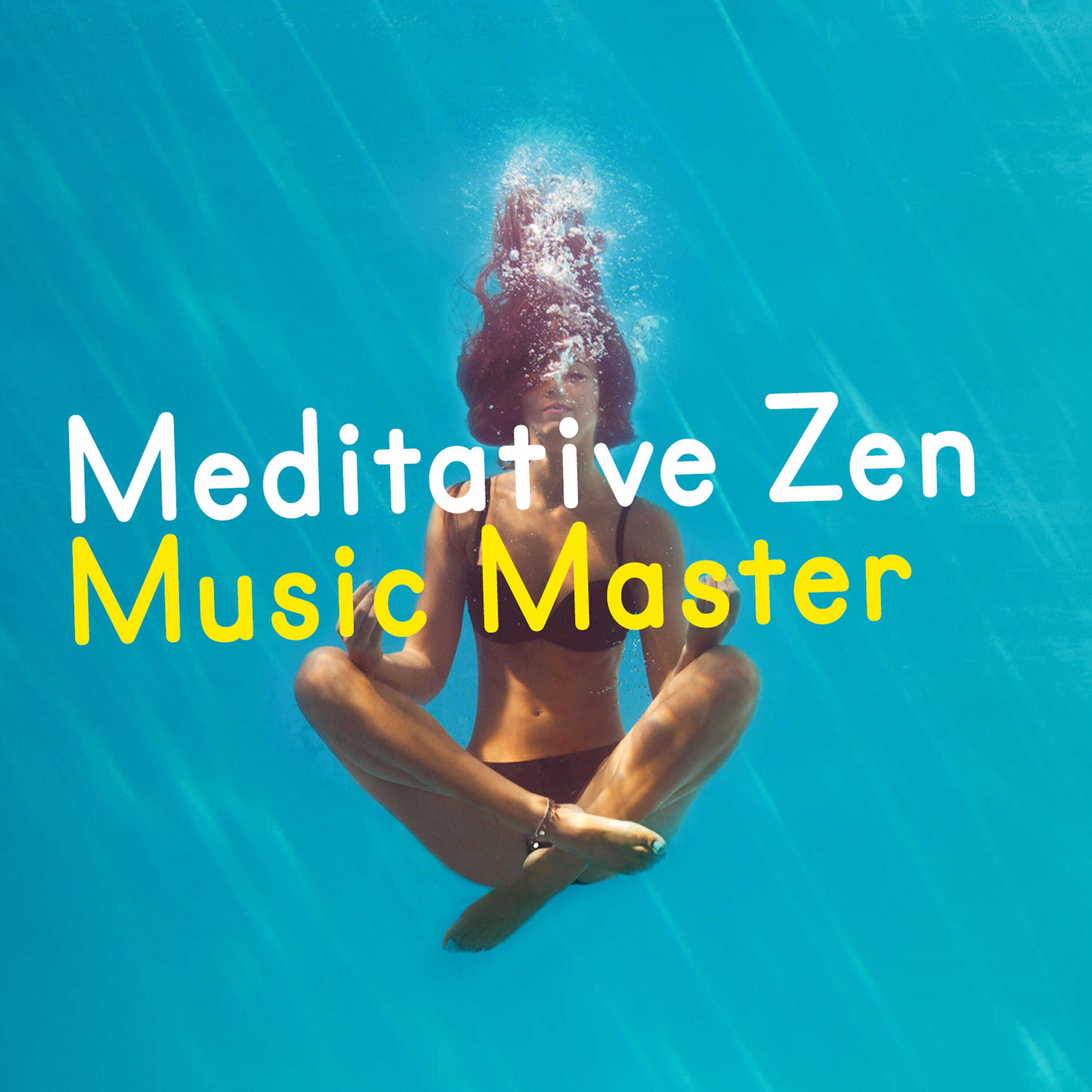 Релиз Meditative Zen Music Master