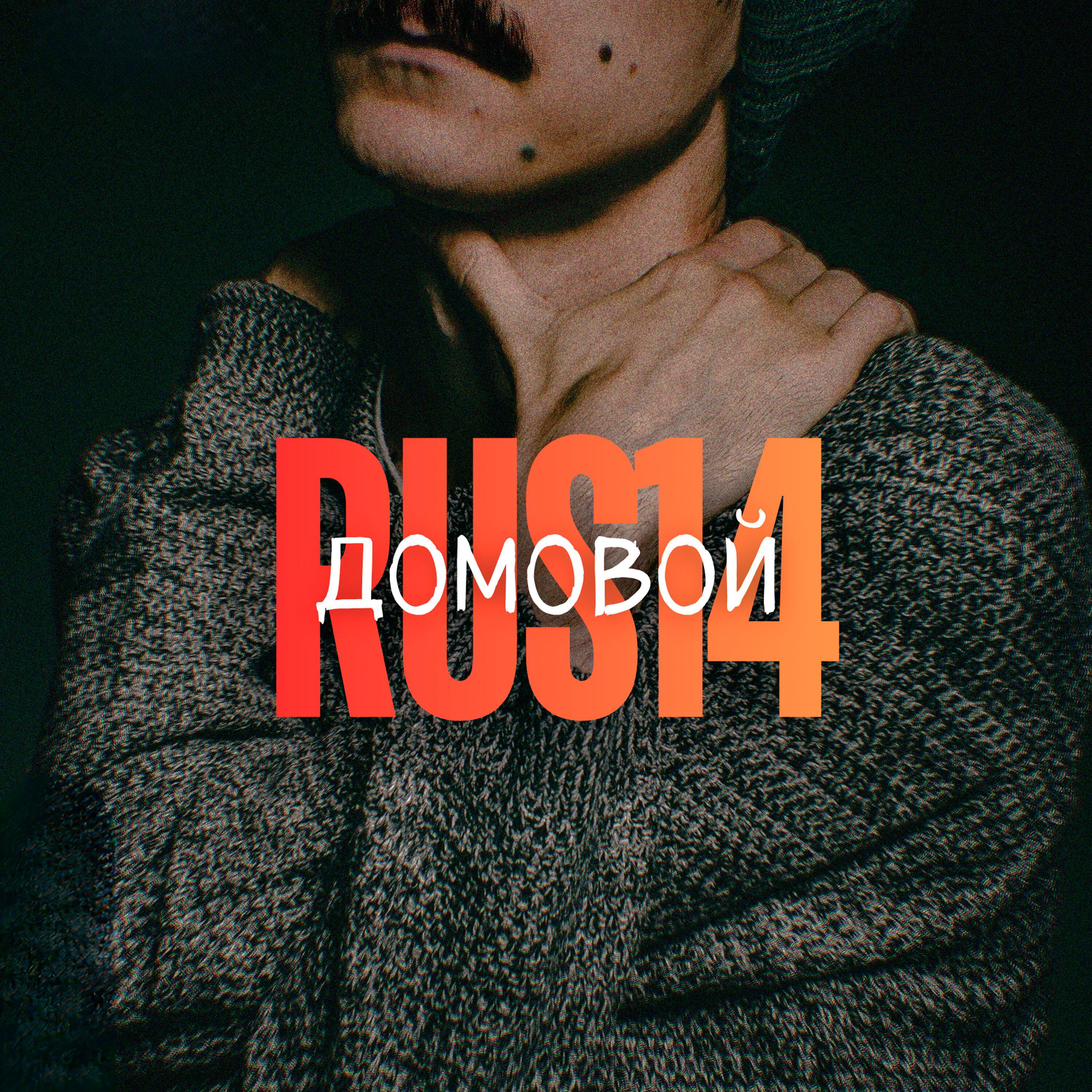Релиз Домовой