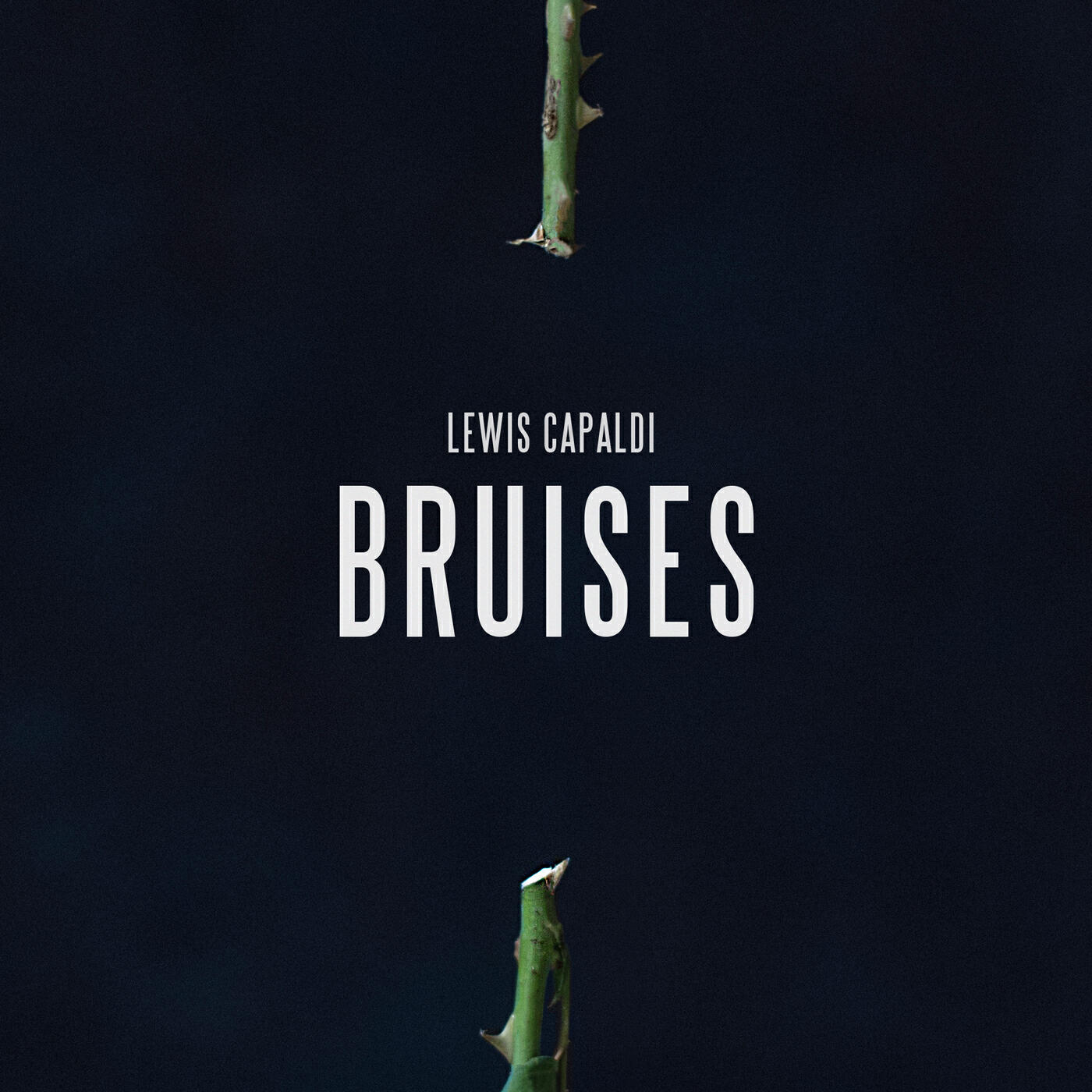 Релиз Bruises (The Circle Sessions)
