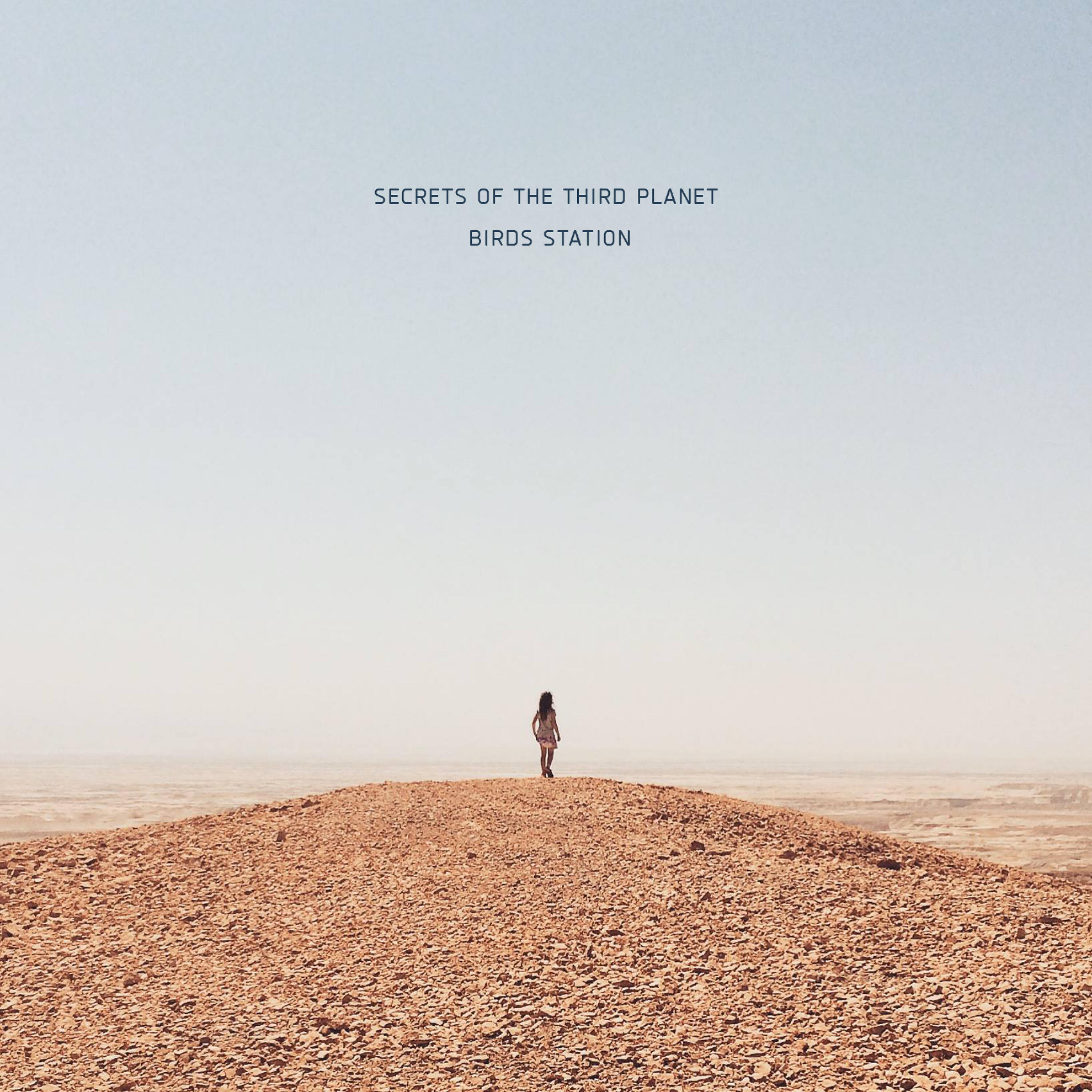 Релиз Birds Station