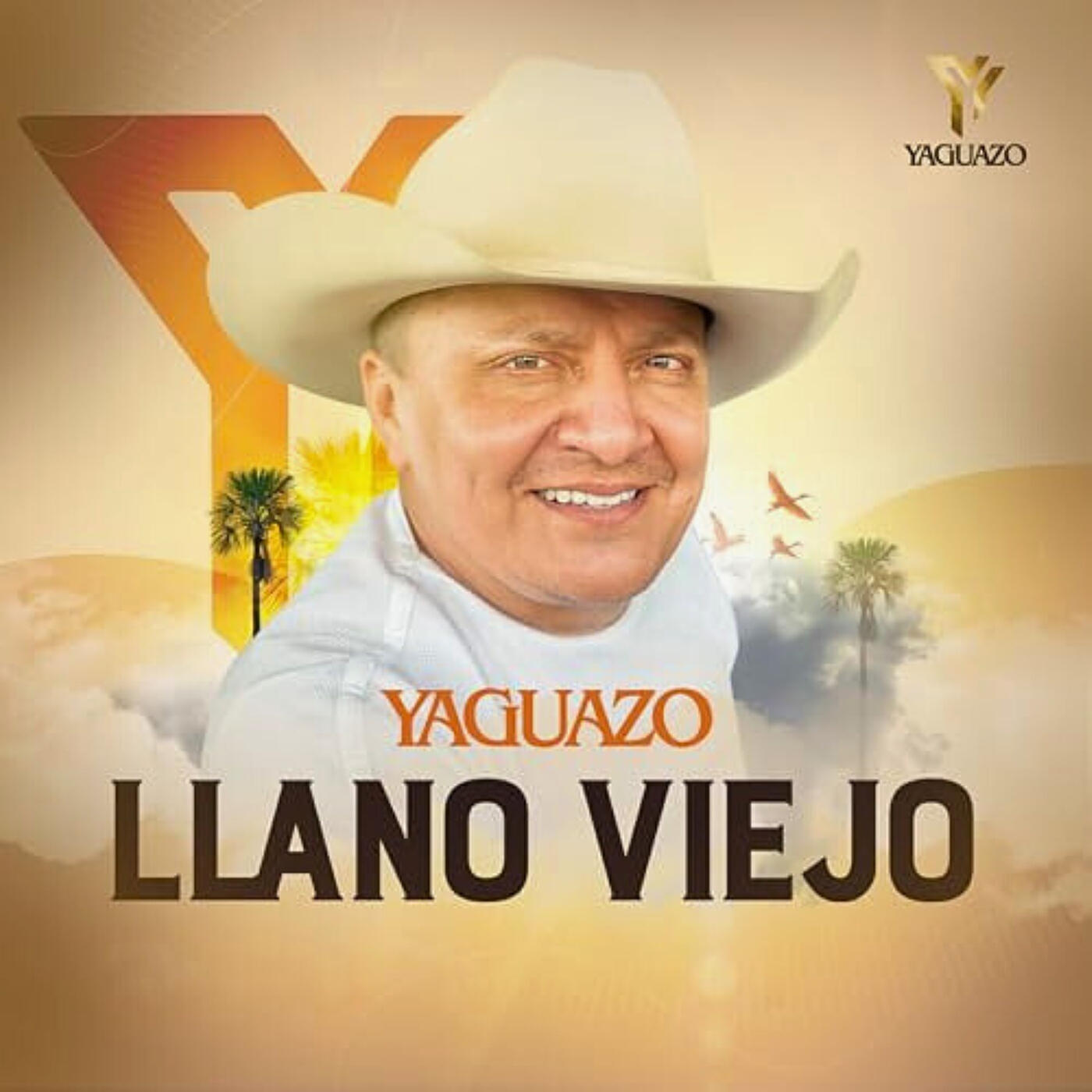 Релиз Llano Viejo