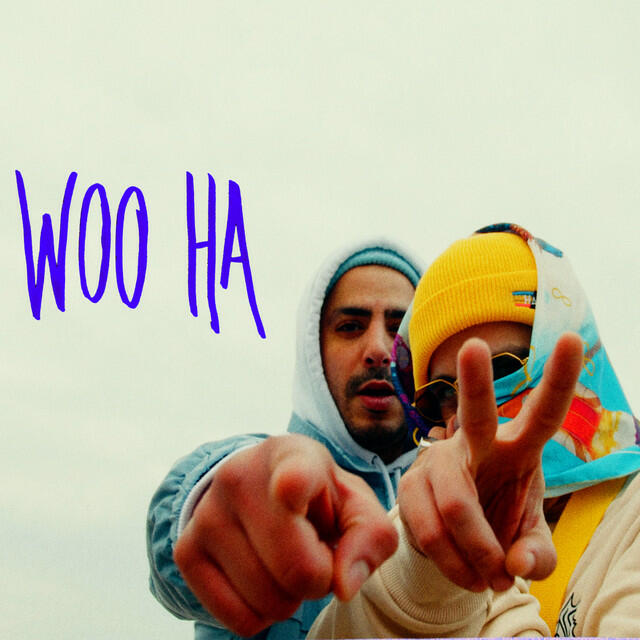 Релиз Woo Ha